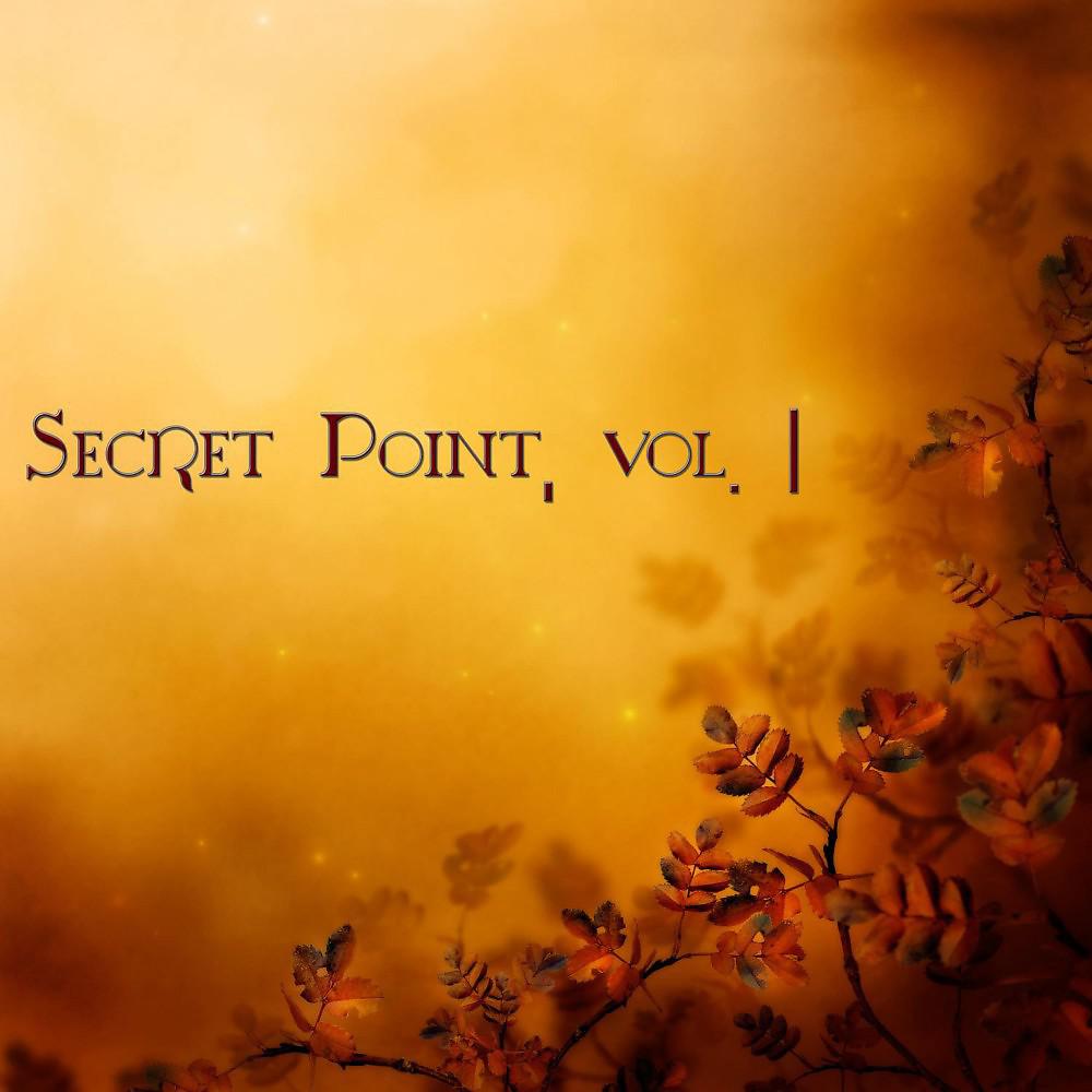 Постер альбома Secret Point, Vol. 1 (Chill Dream)