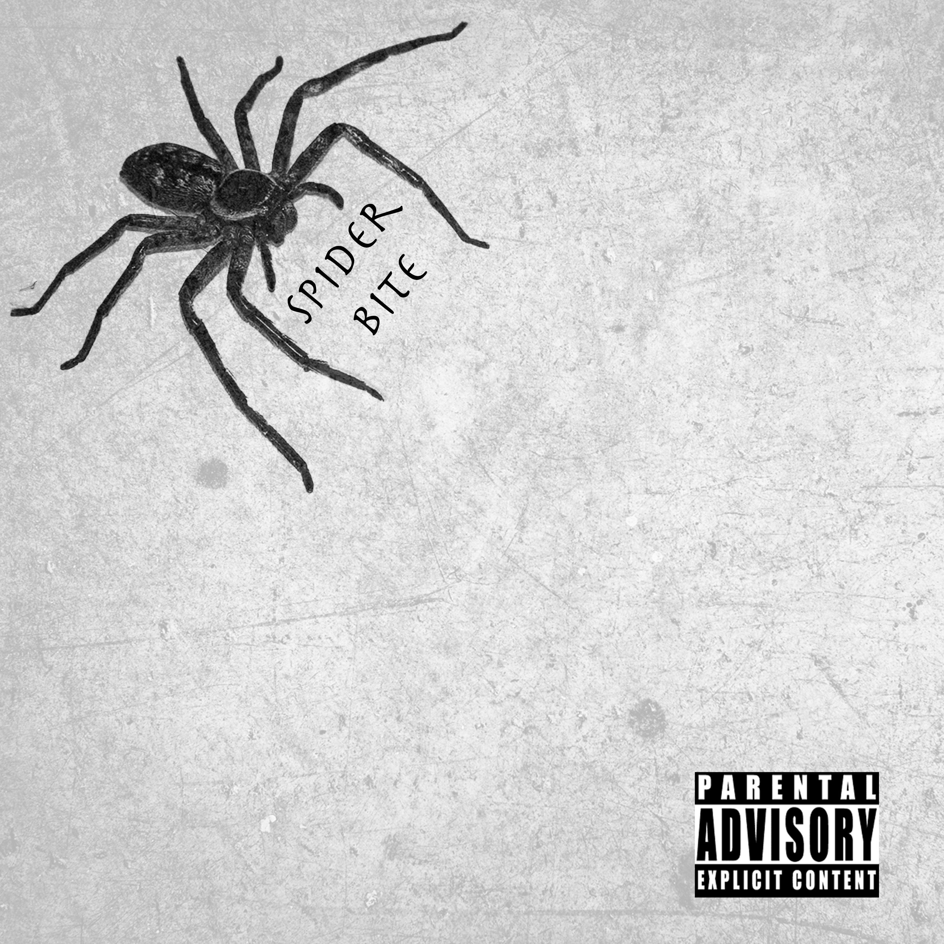 Постер альбома Spider Bite