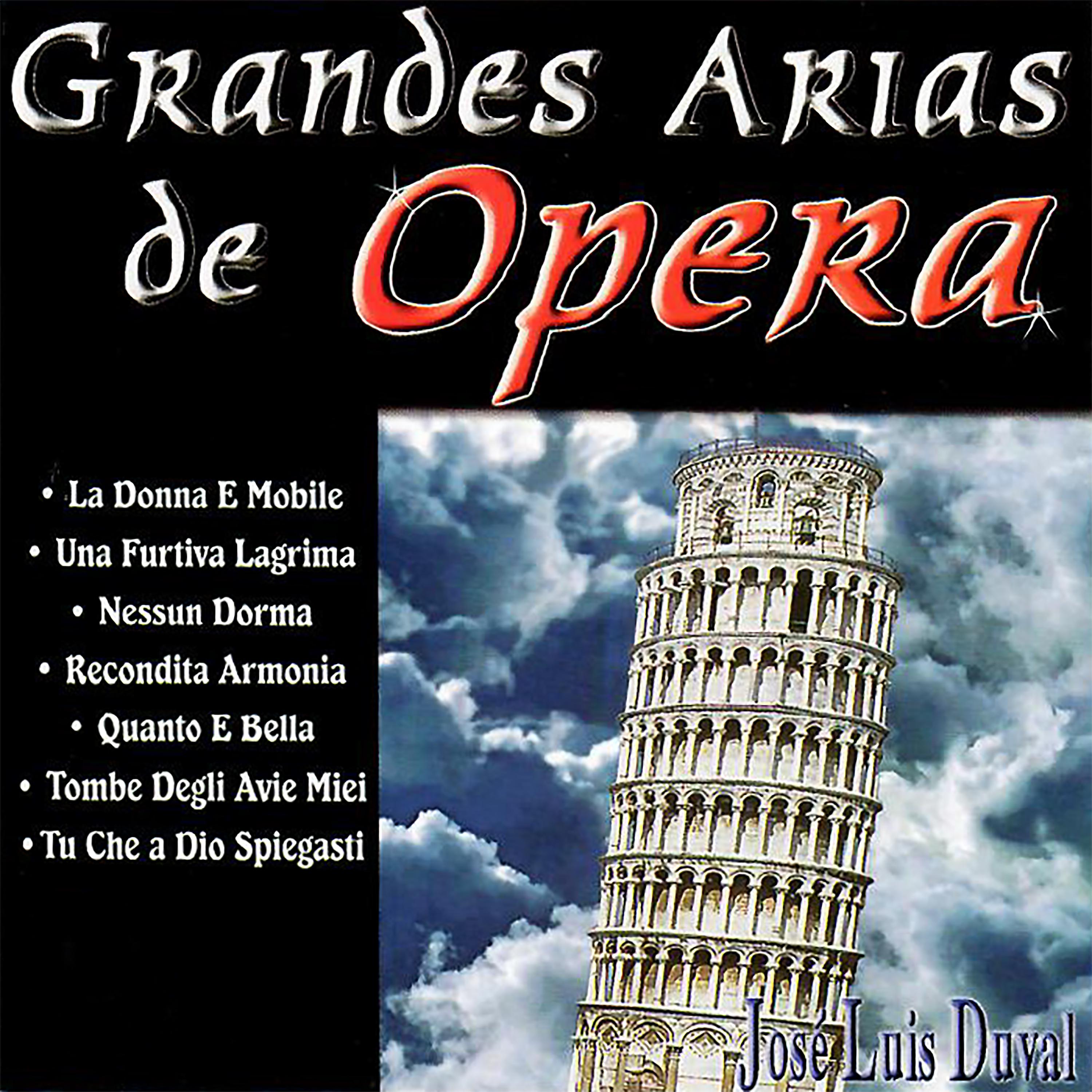 Постер альбома Grandes Arias de Opera