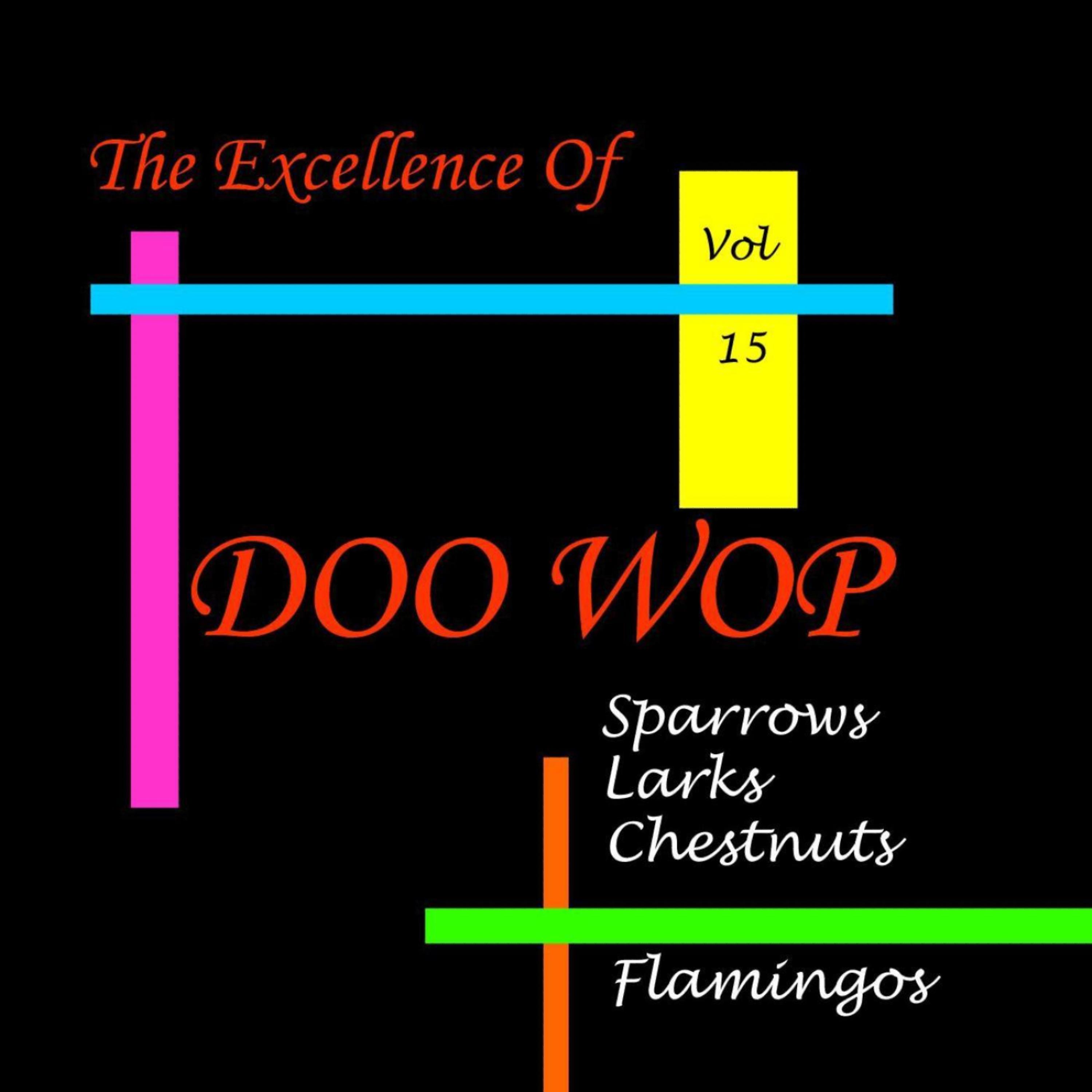 Постер альбома Doo Wop Excellence Vol 15