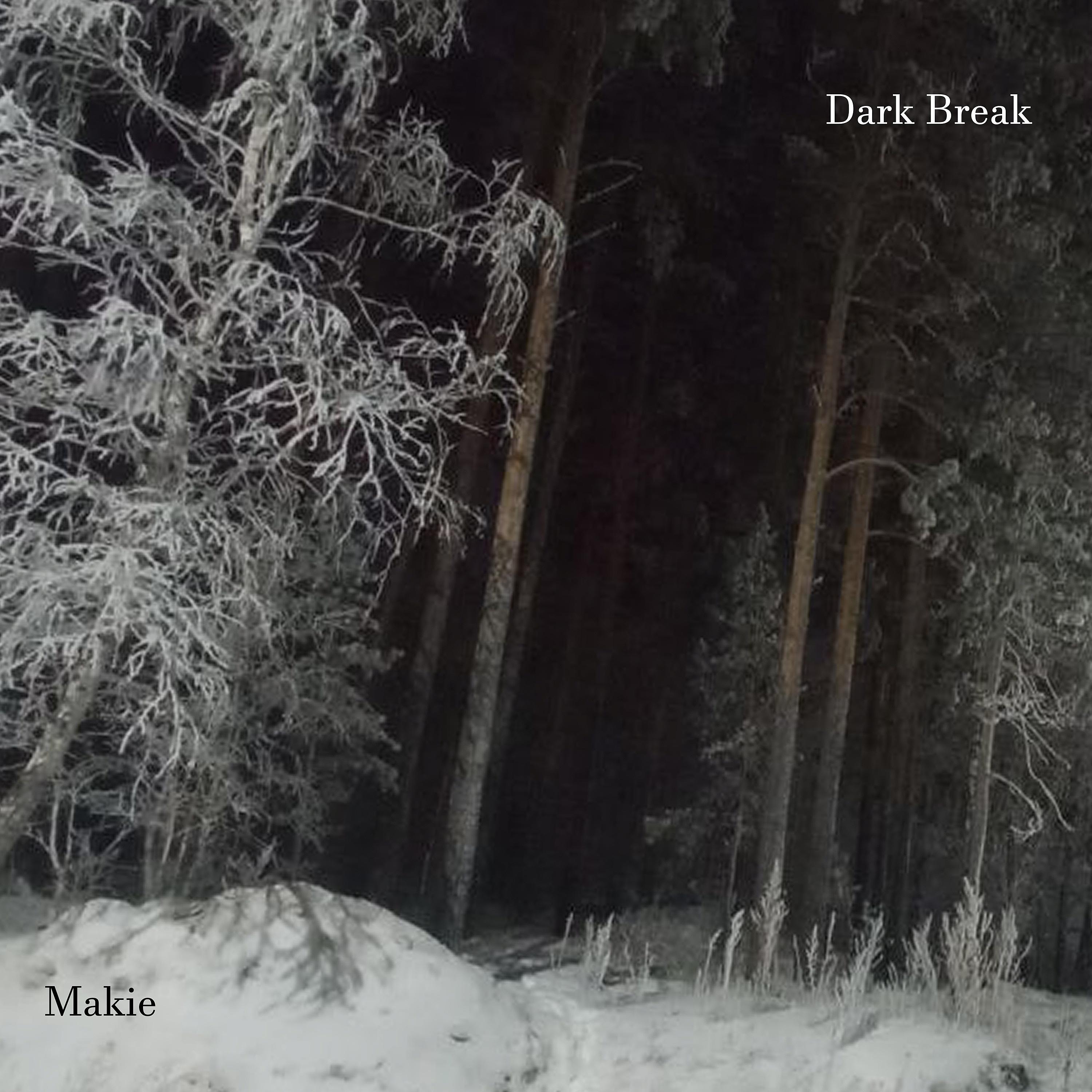 Постер альбома Dark Break