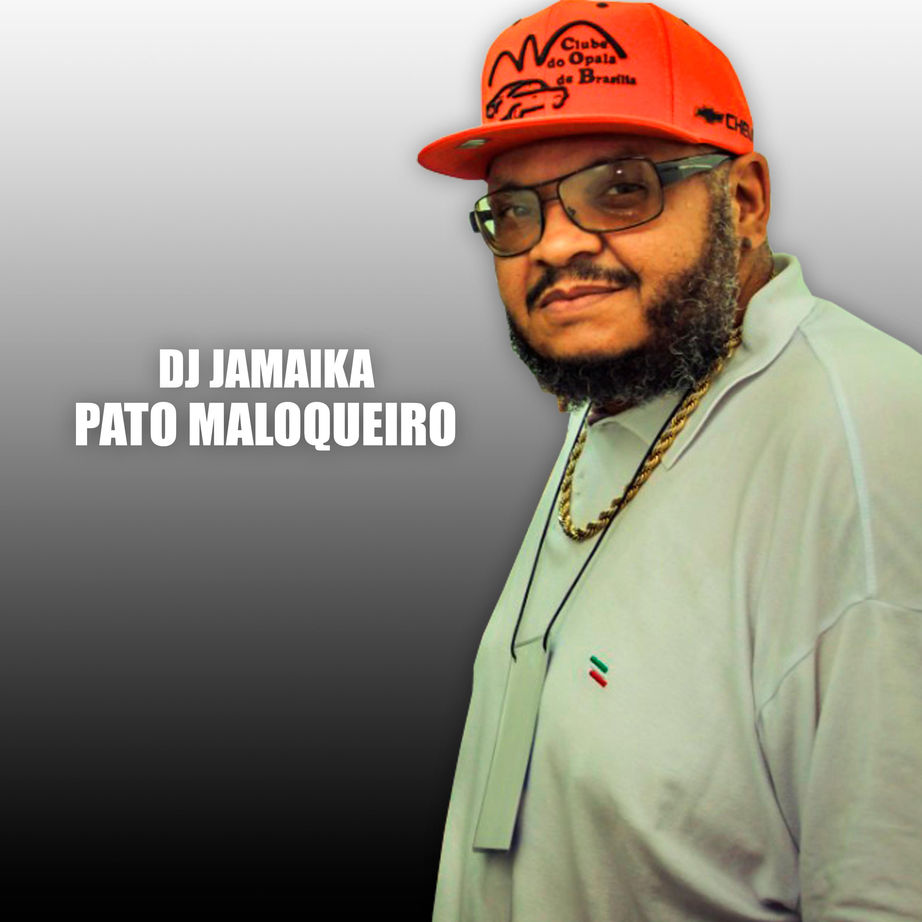 Постер альбома Pato Maloqueiro