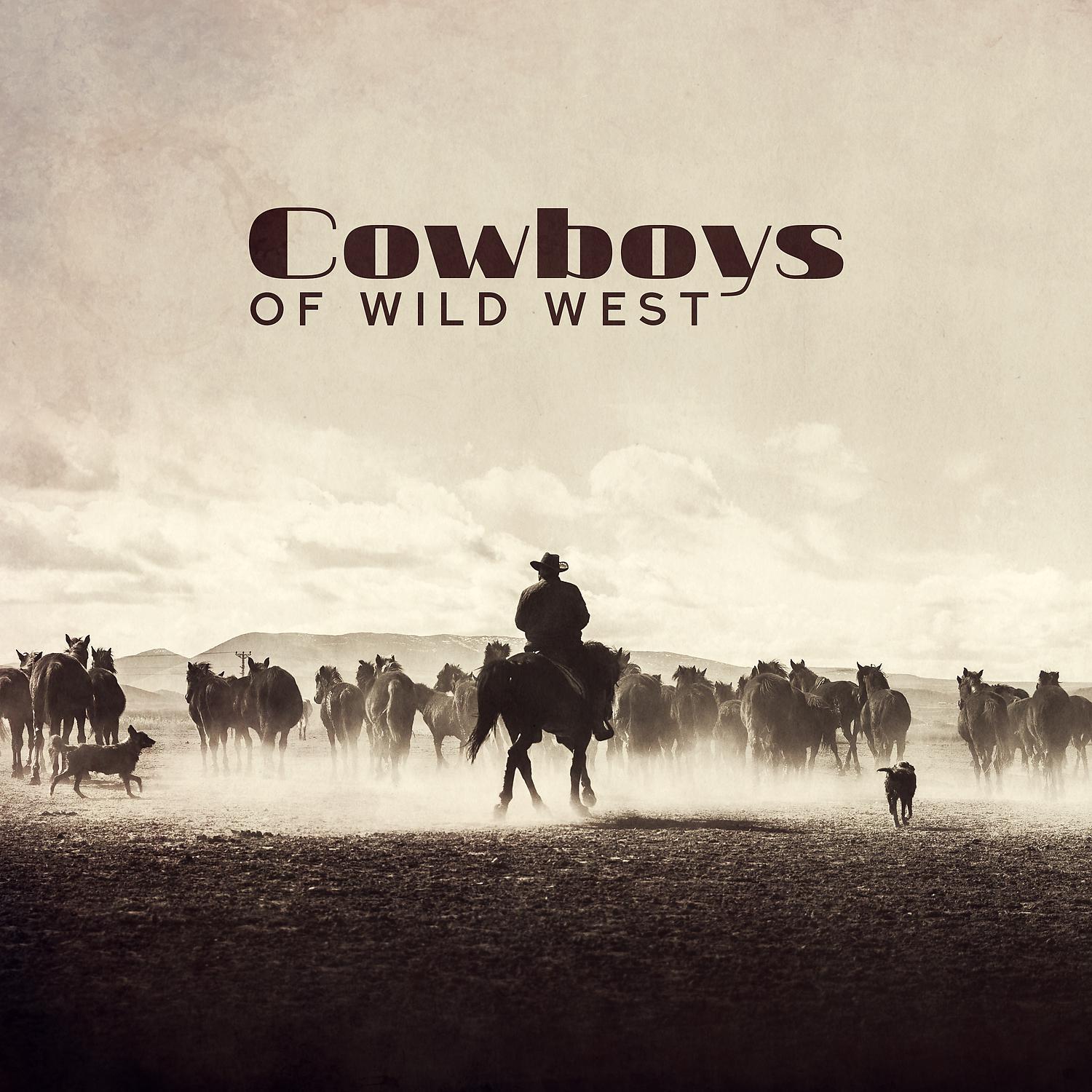 Постер альбома Cowboys of Wild West: Western Country Music