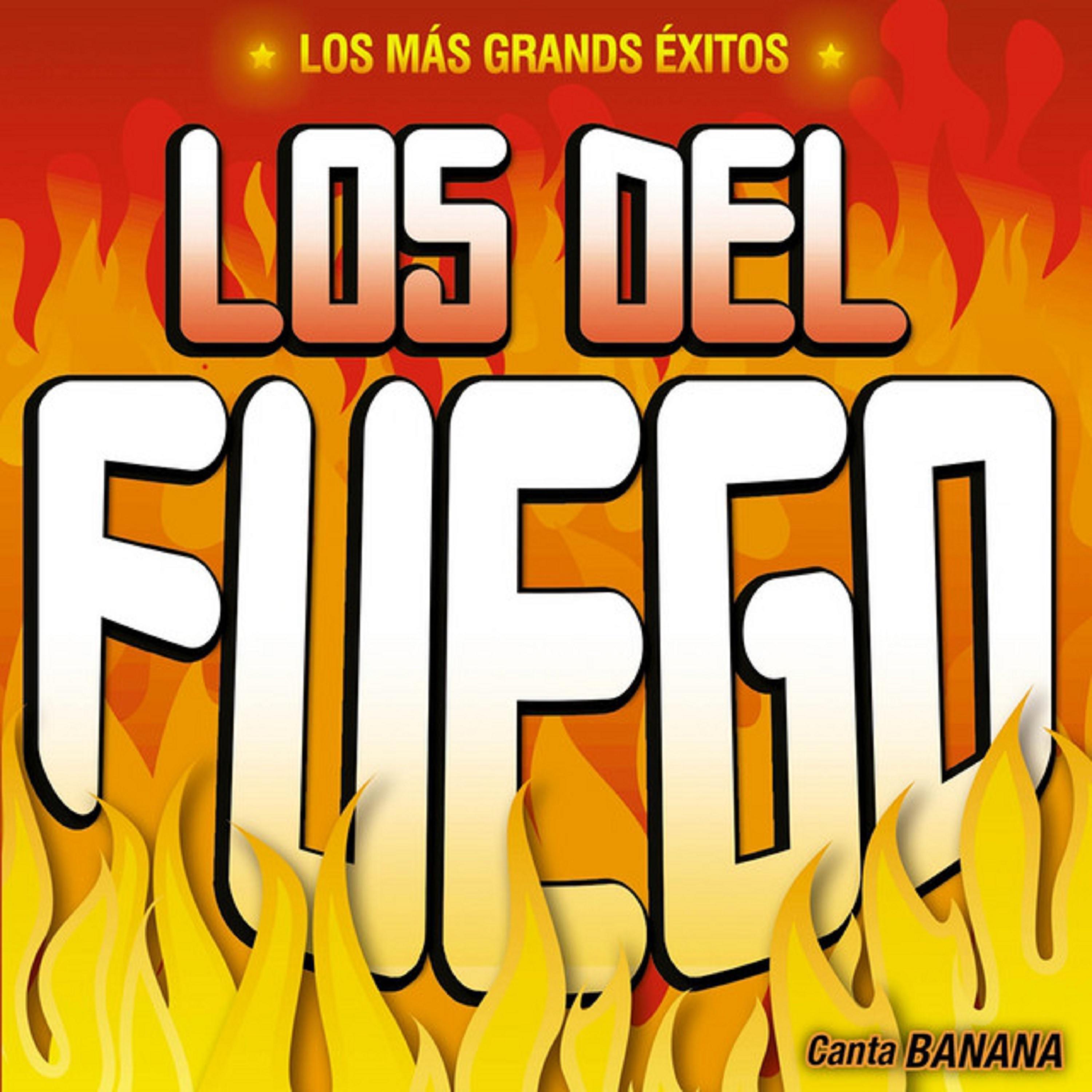 Постер альбома Los Mas Grandes Exitos