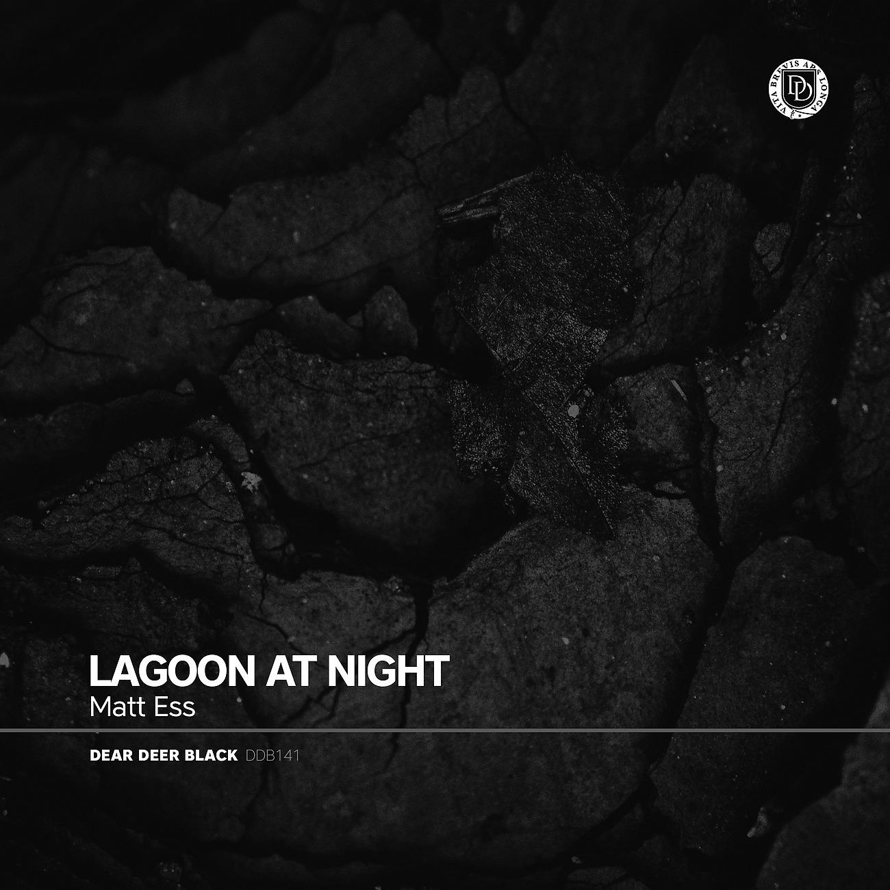 Постер альбома Lagoon At Night