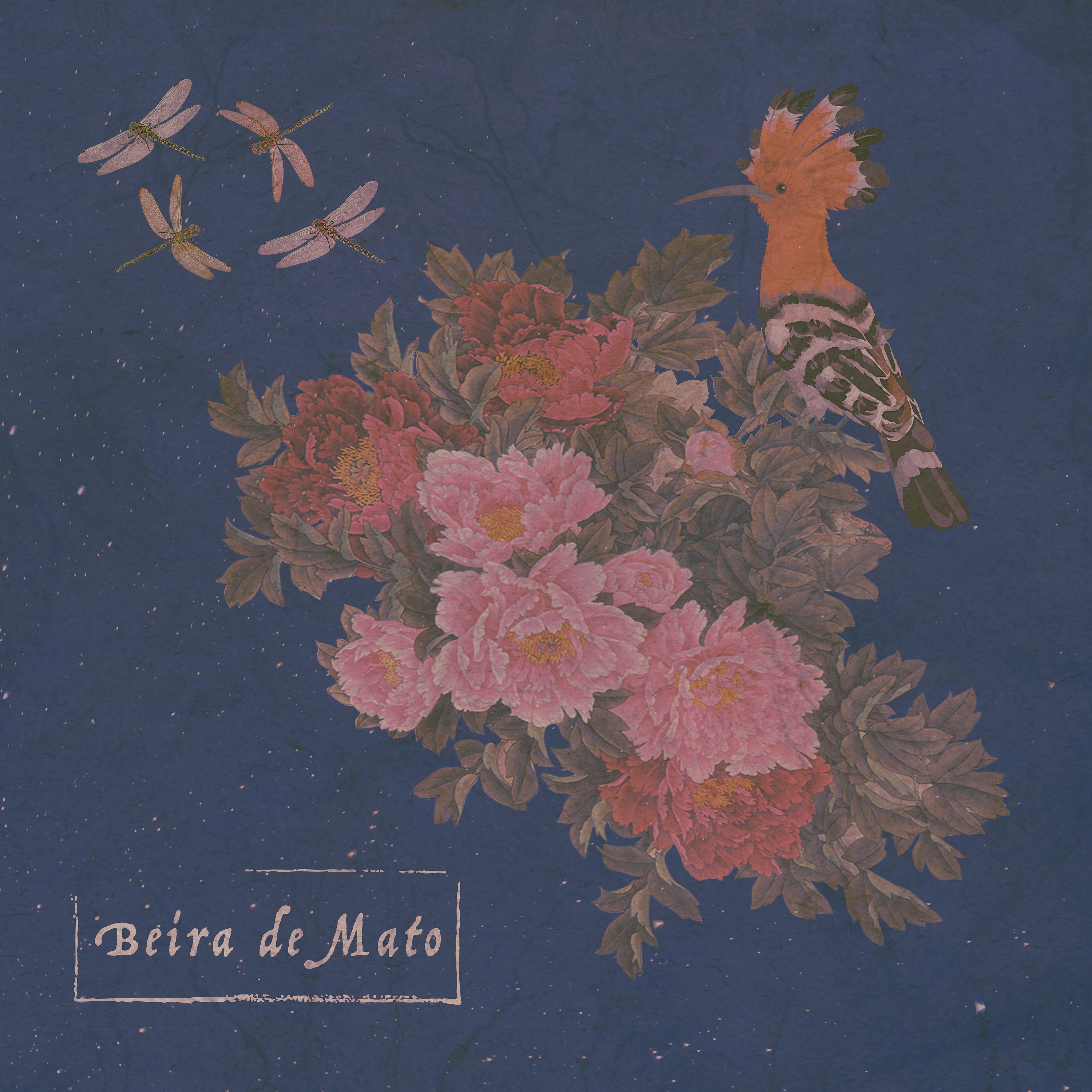 Постер альбома Beira de Mato