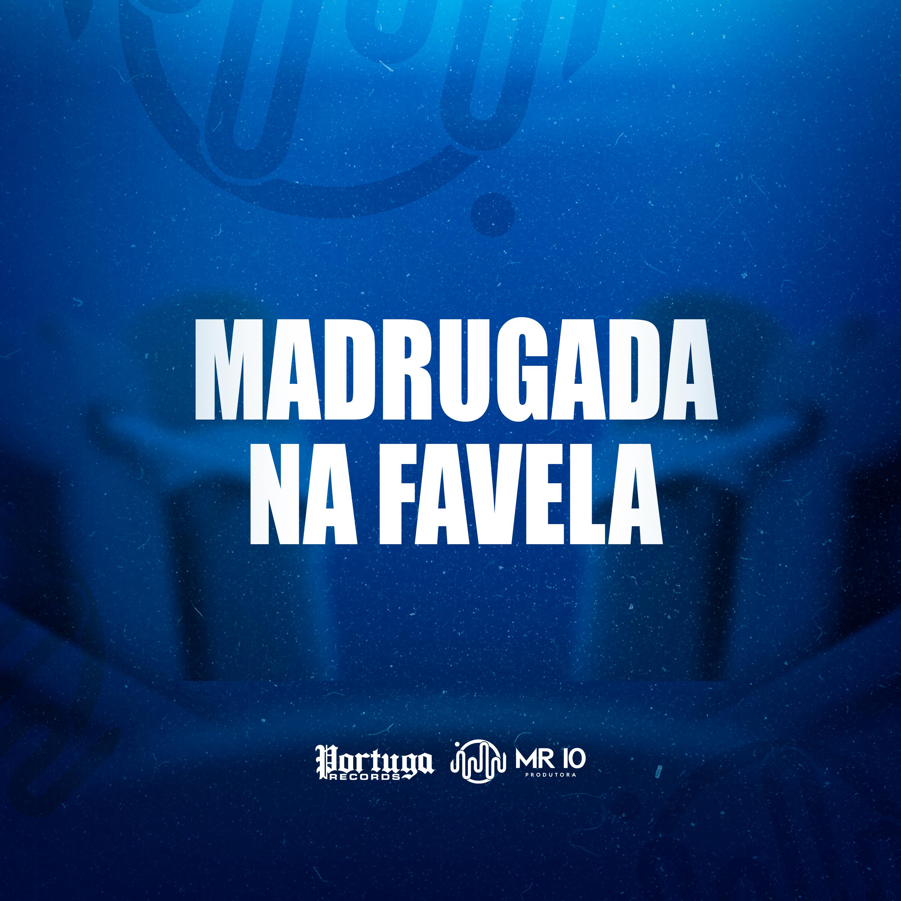 Постер альбома Madrugada na Favela