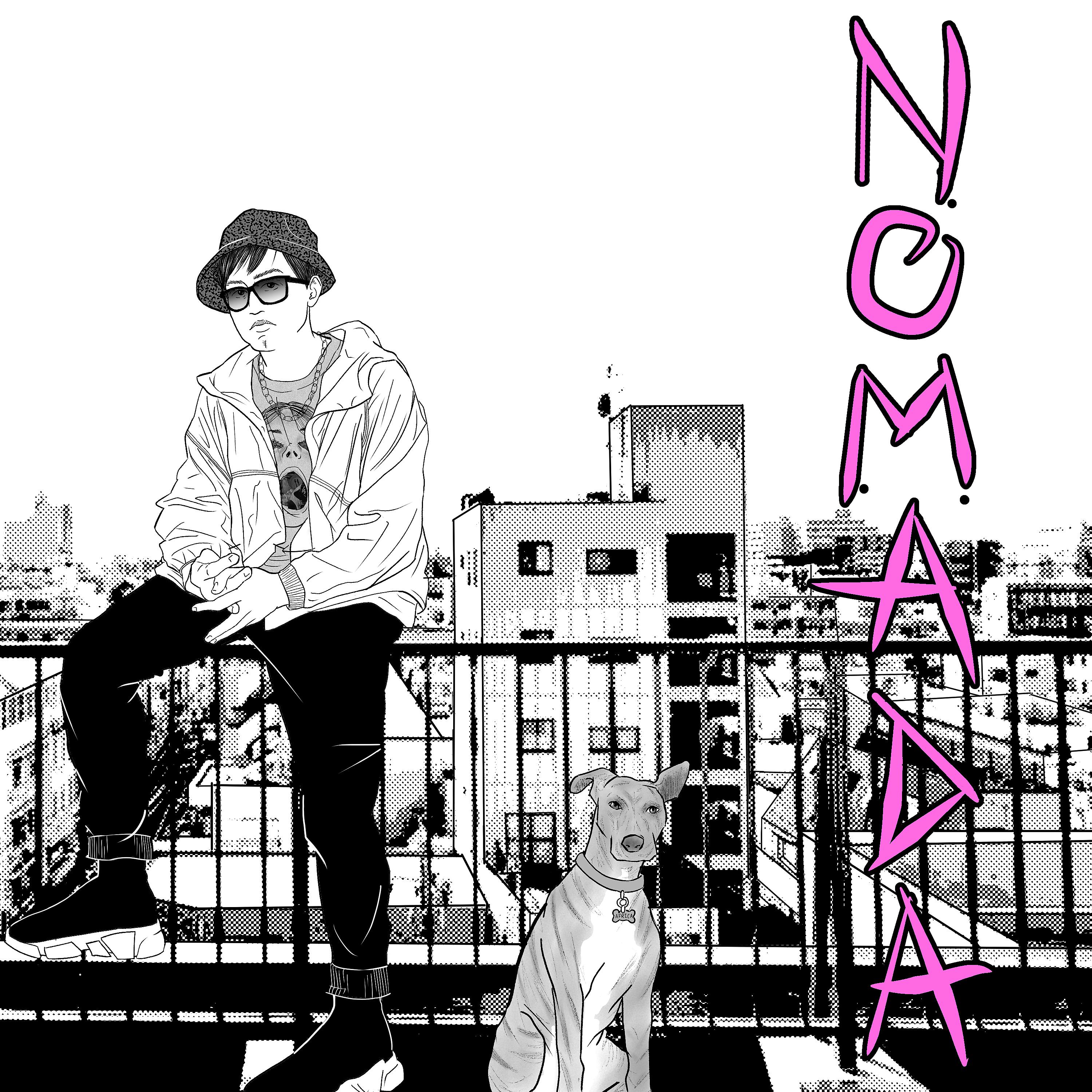 Постер альбома Nómada