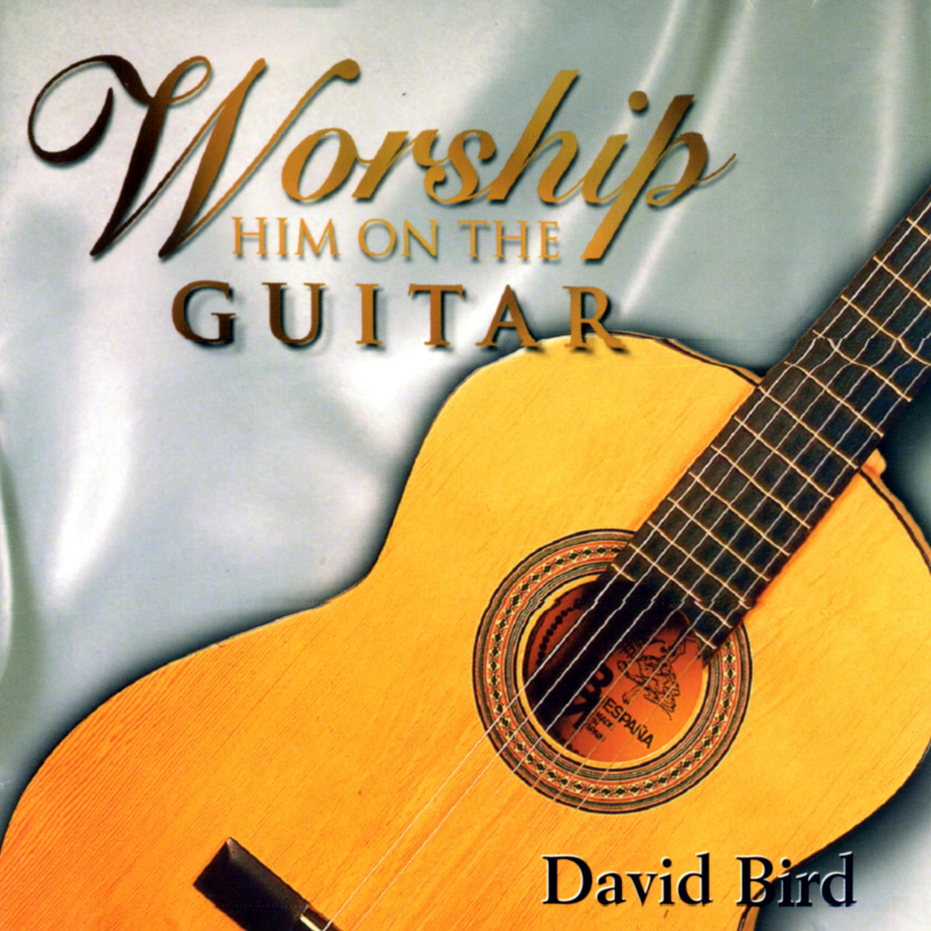 Постер альбома Worship Him on the Guitar
