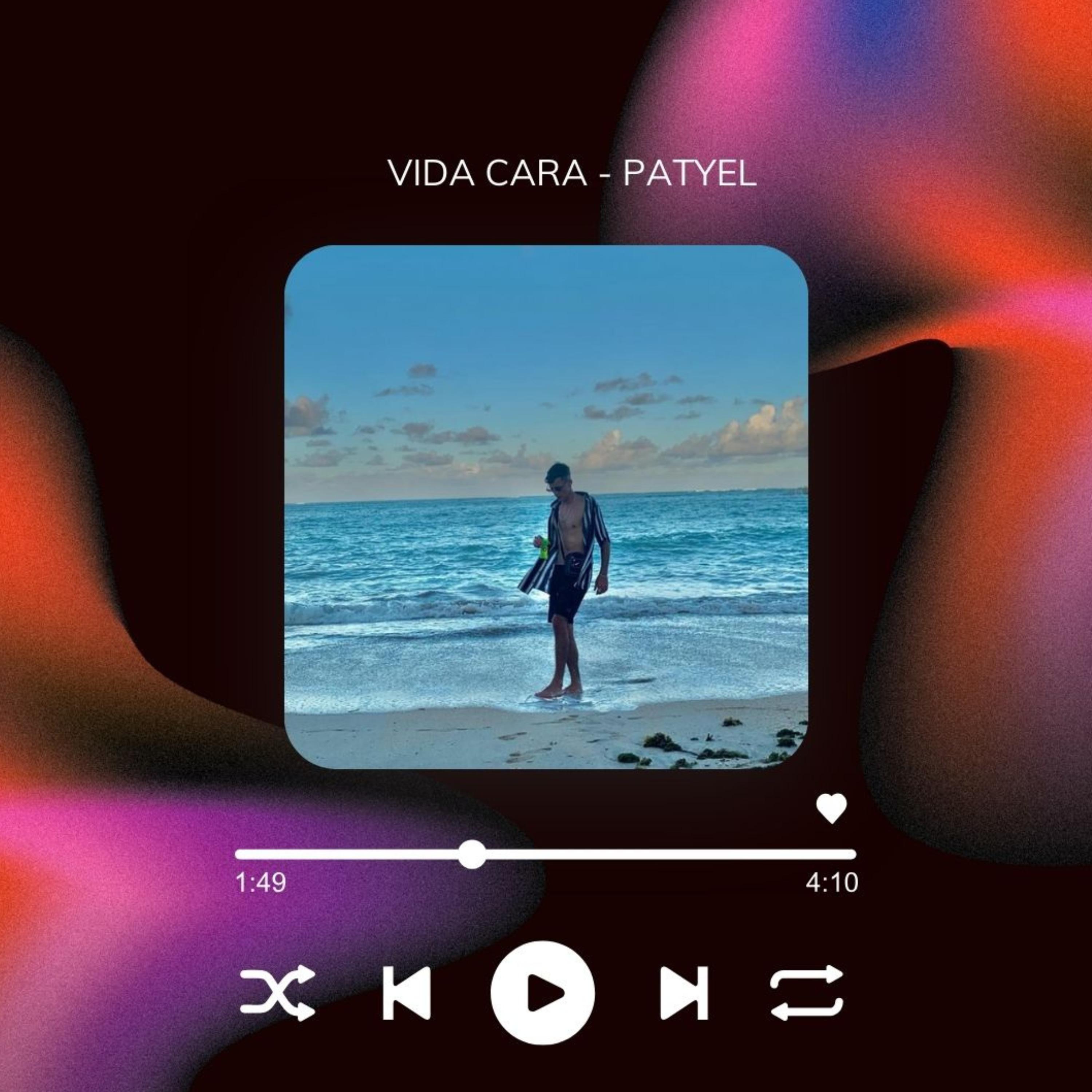 Постер альбома Vida Cara
