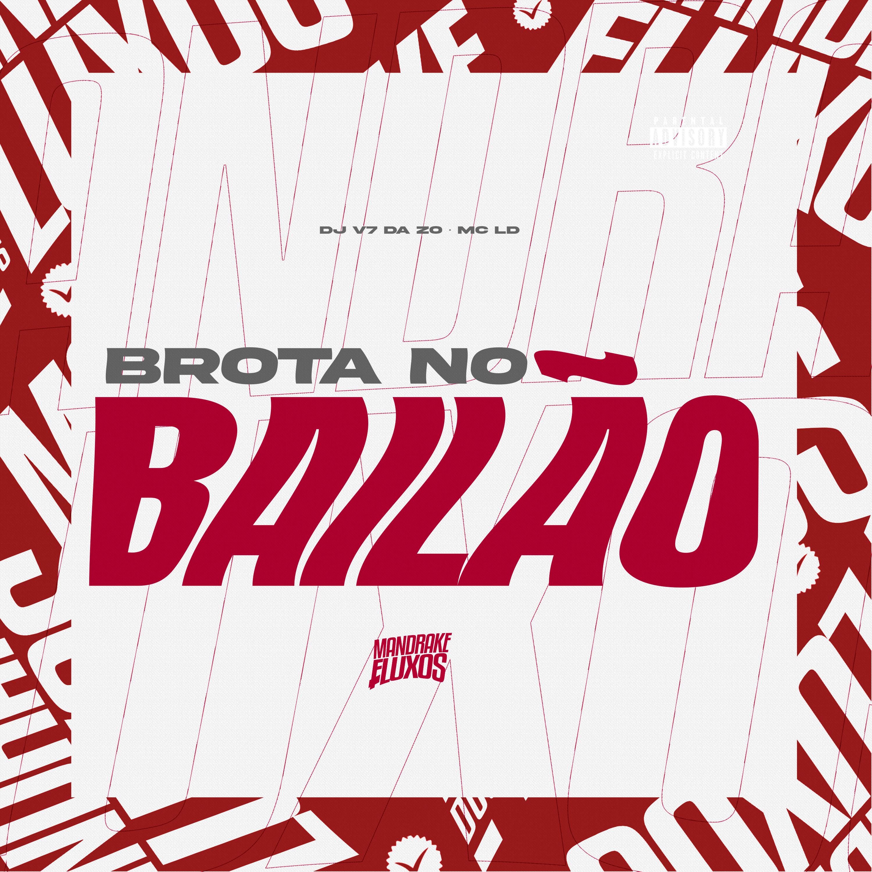 Постер альбома Brota no Bailão