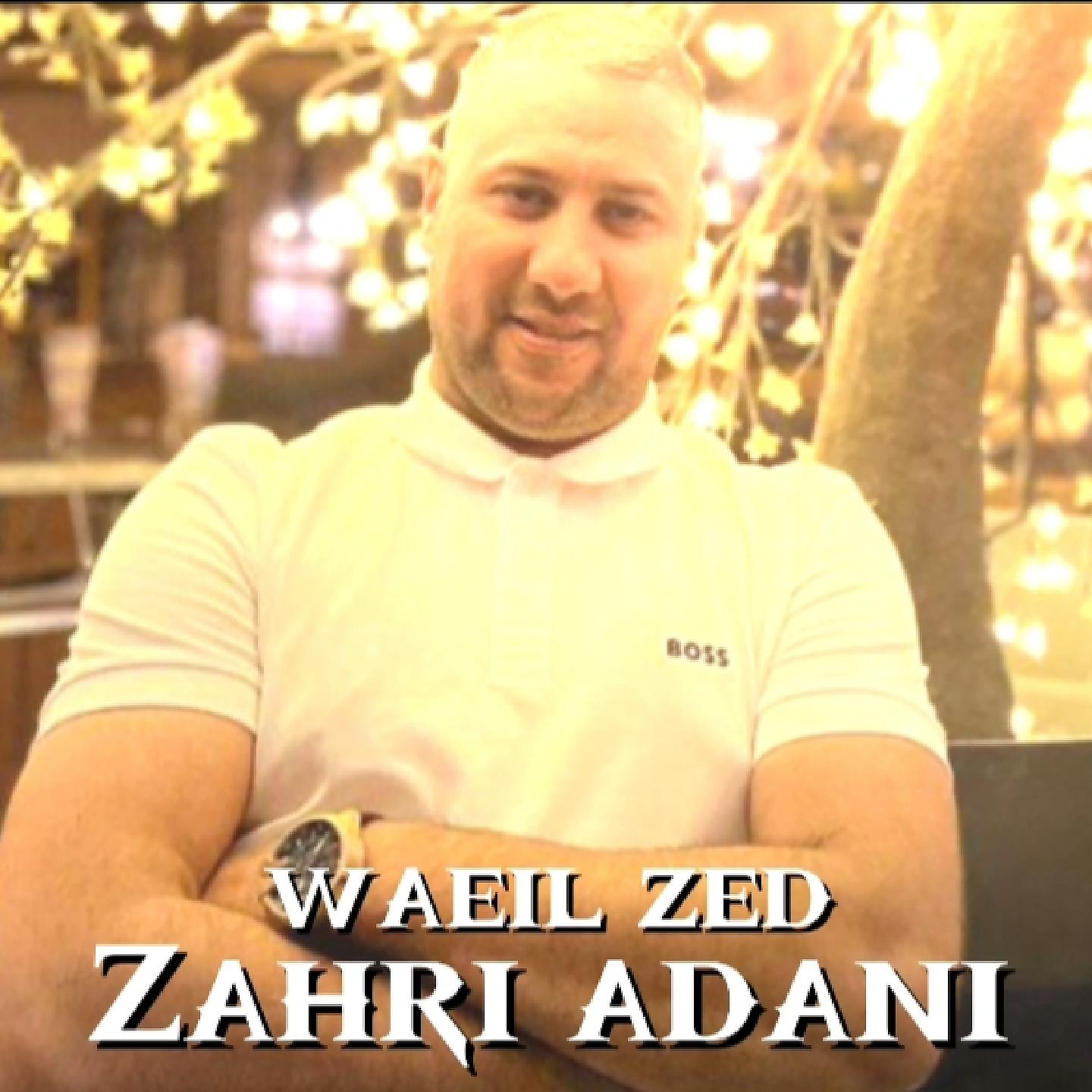 Постер альбома Zahri Adani