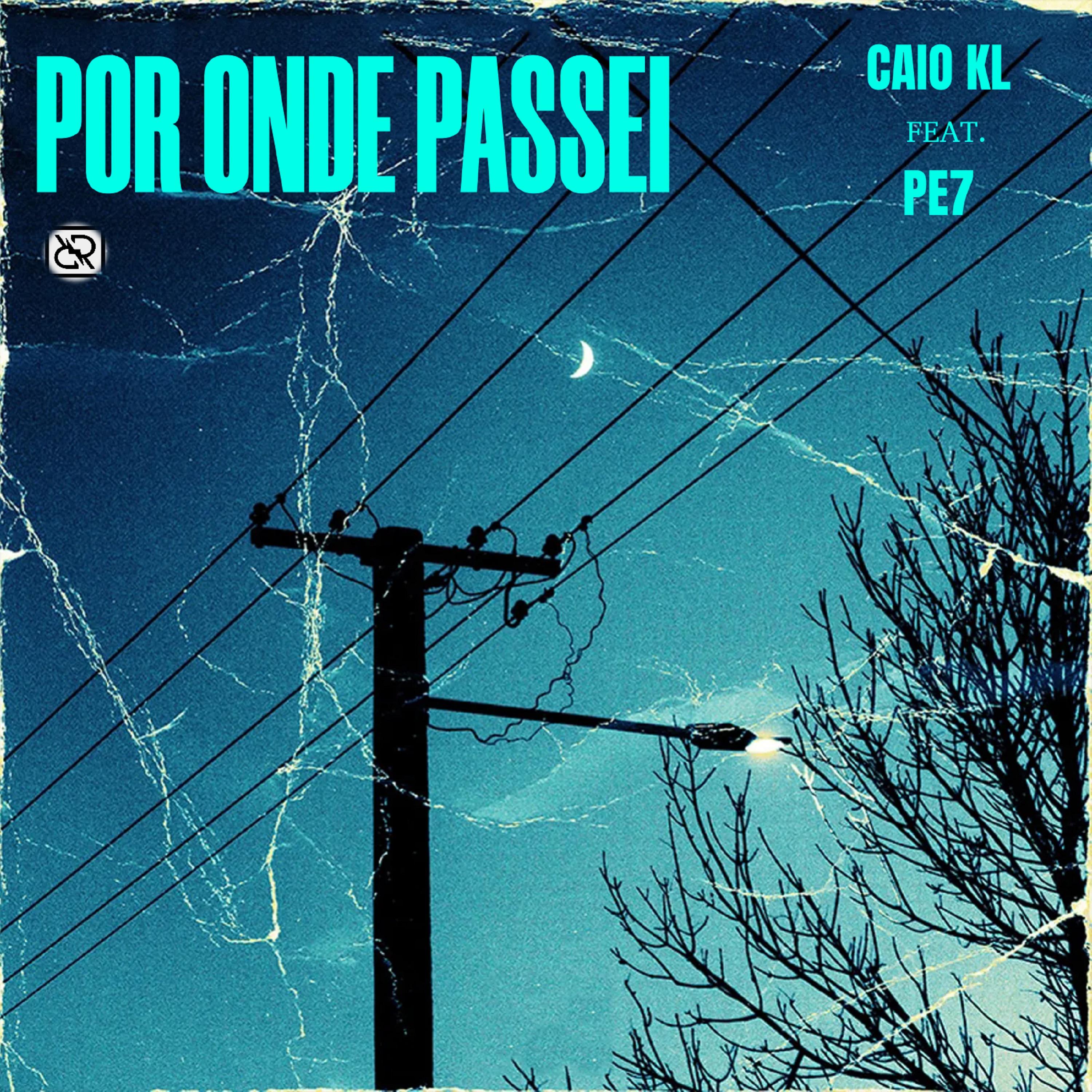 Постер альбома Por Onde Passei