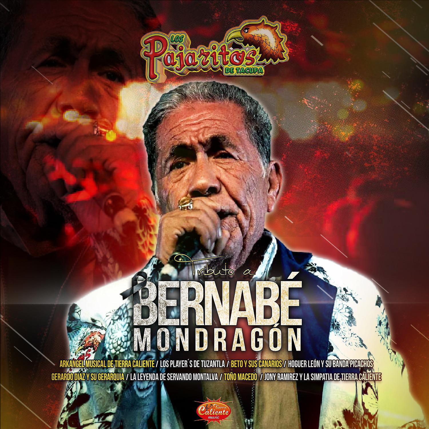 Постер альбома Tributo a Bernabé Mondragón