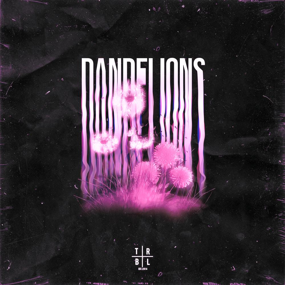 Постер альбома Dandelions (Slowed + Reverb)