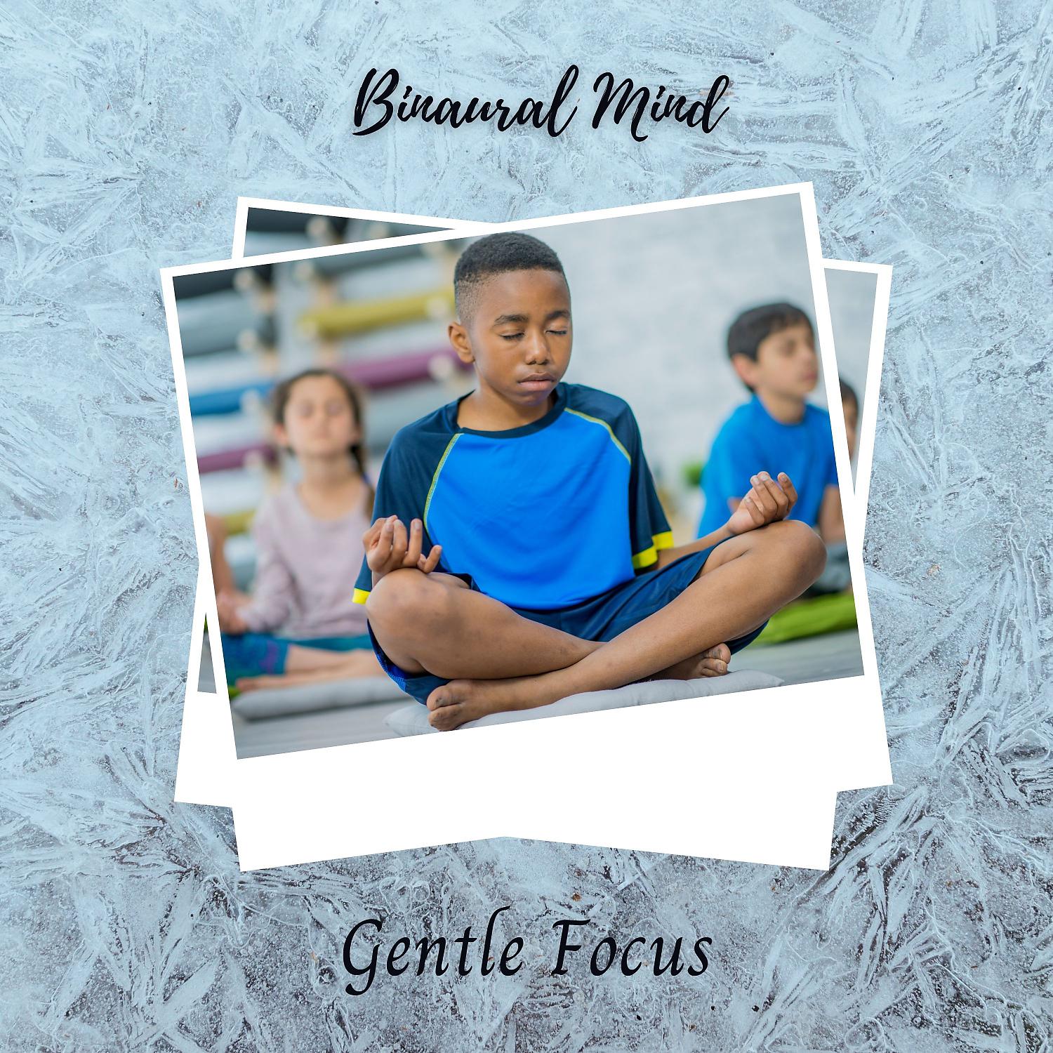 Постер альбома Binaural Mind: Gentle Focus