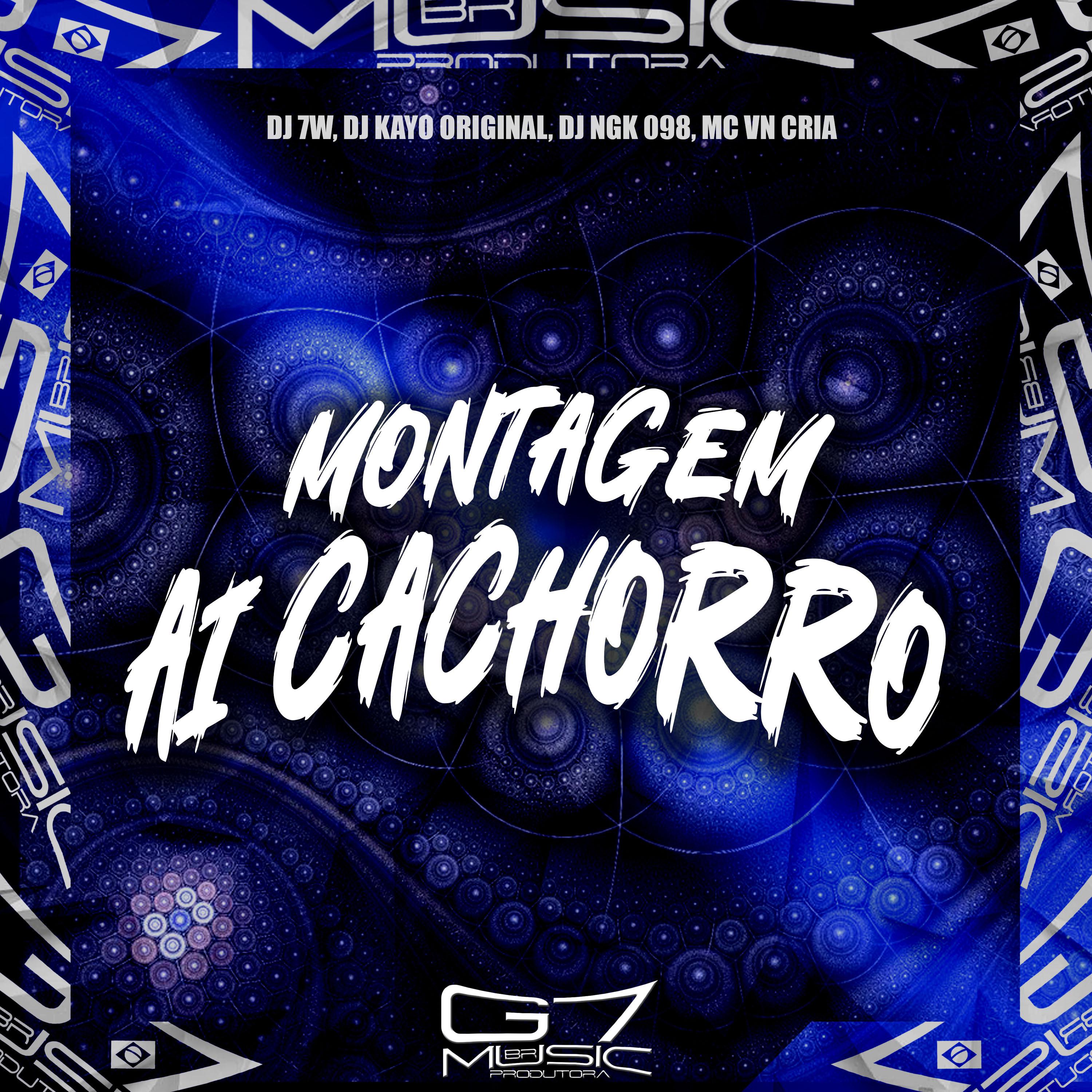 Постер альбома Montagem Ai Cachorro