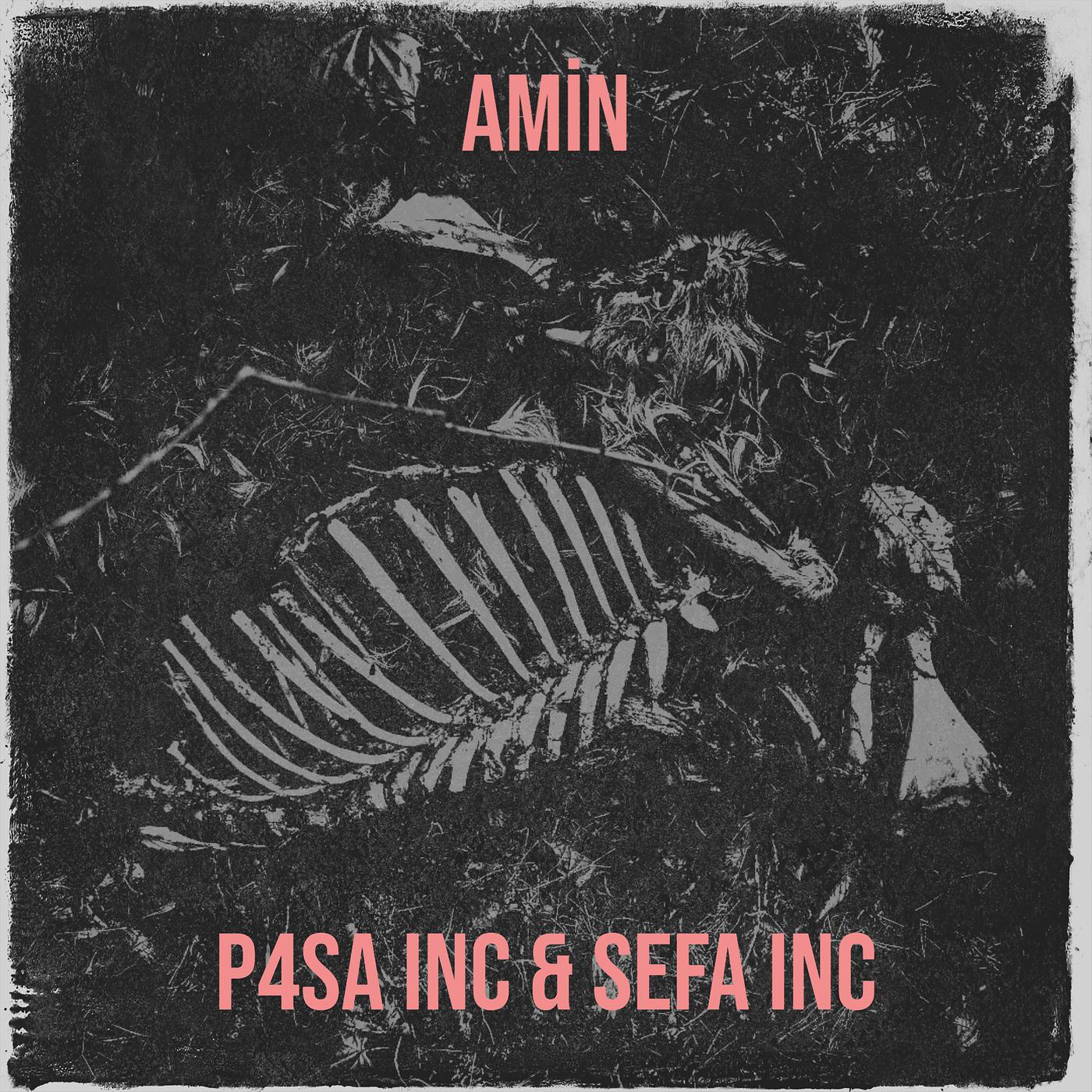 Постер альбома Amin