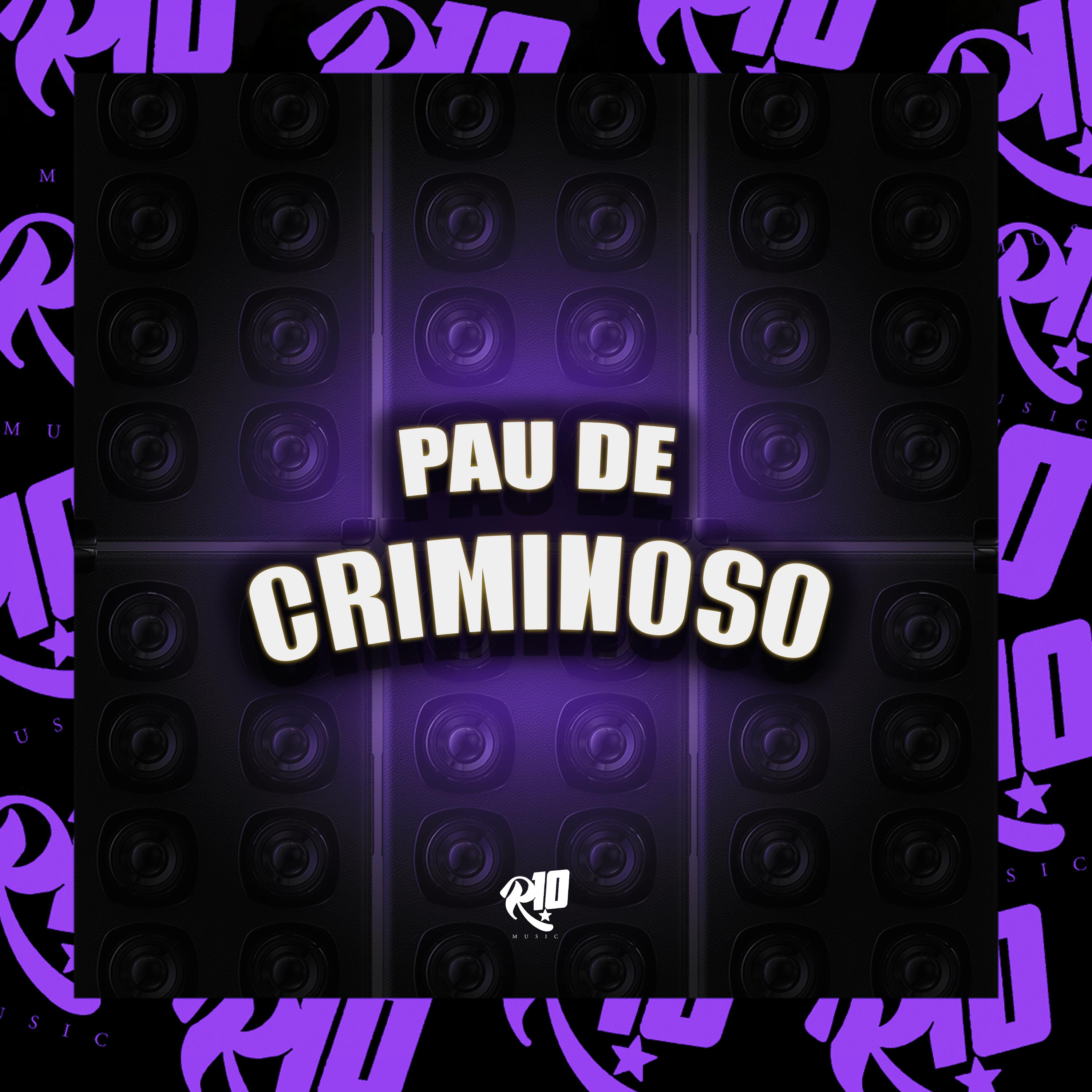 Постер альбома Pau de Criminoso