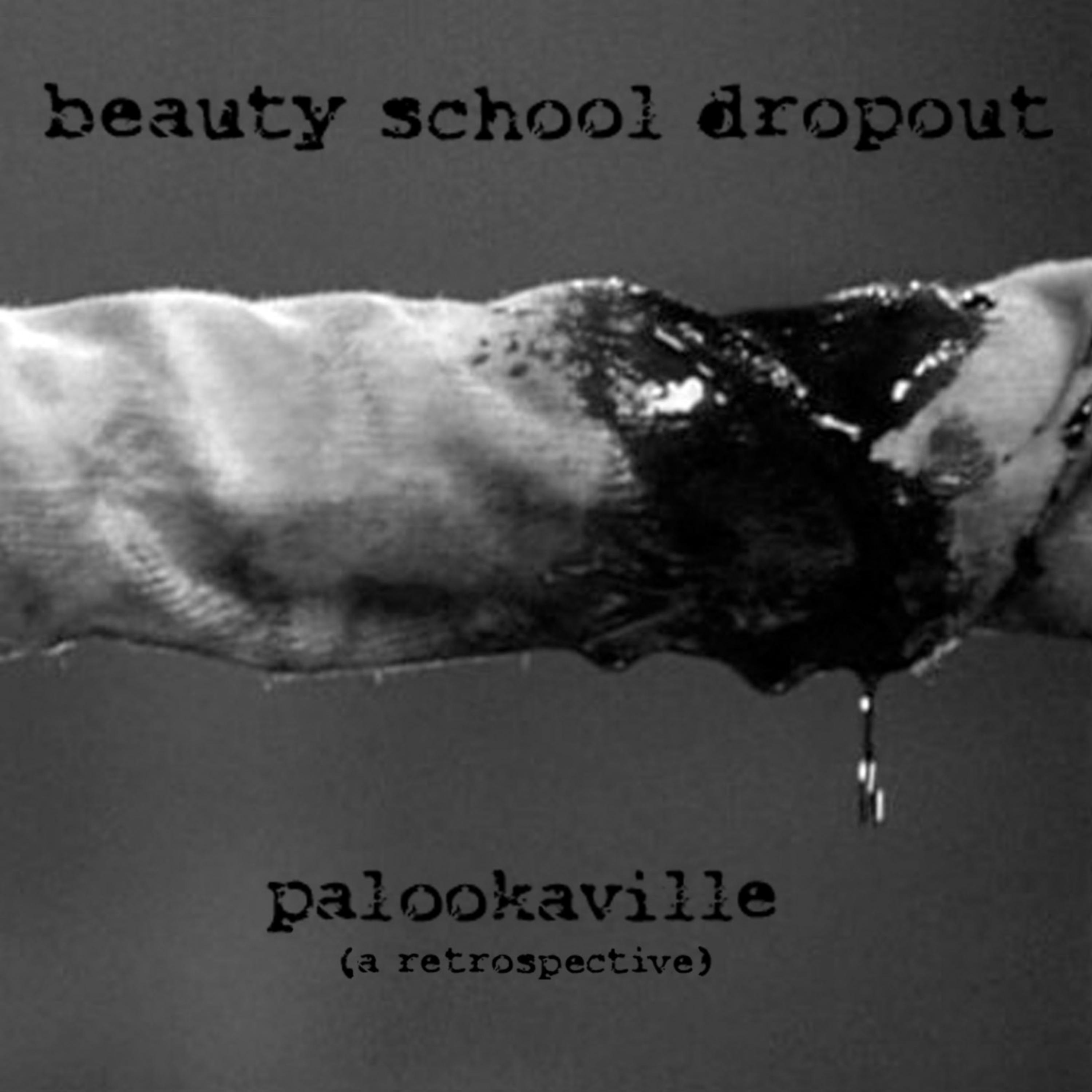 Постер альбома Palookaville (A Retrospective)