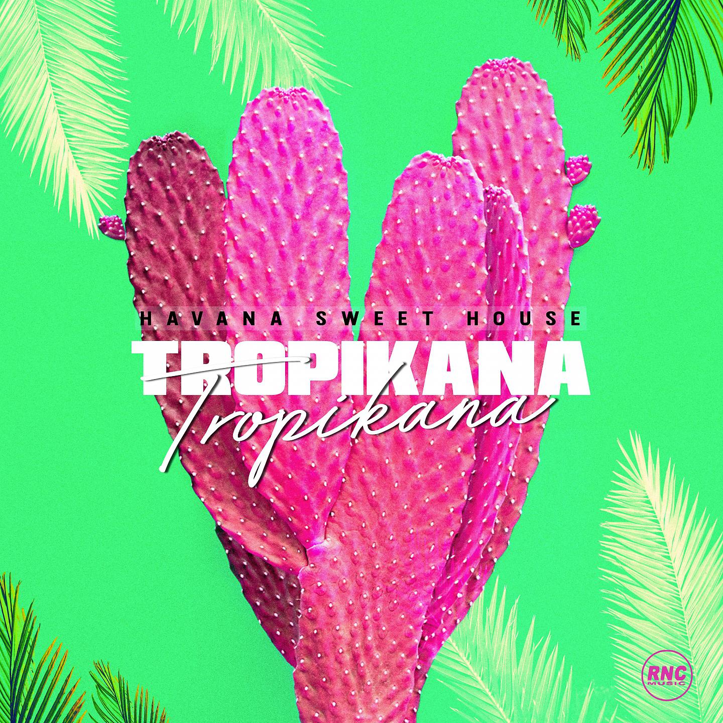 Постер альбома Tropikana