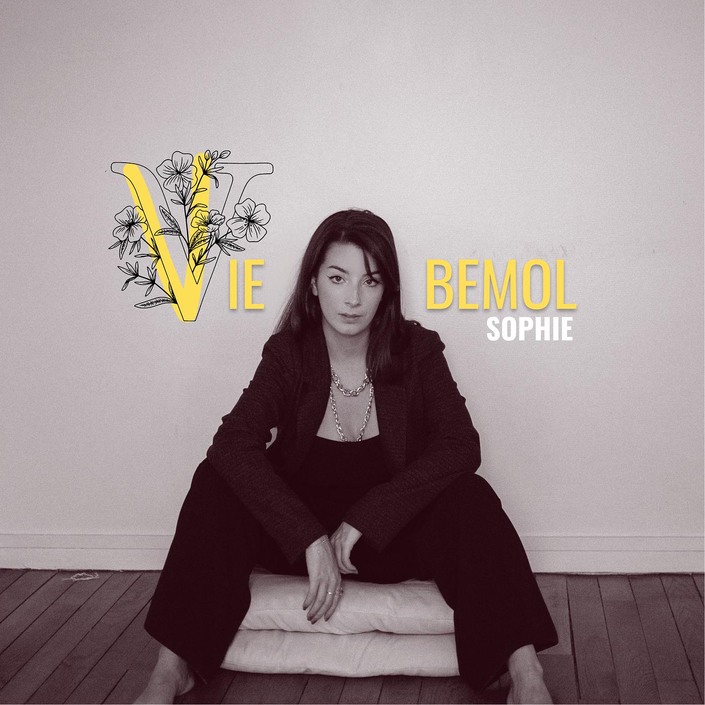 Постер альбома Vie bémol