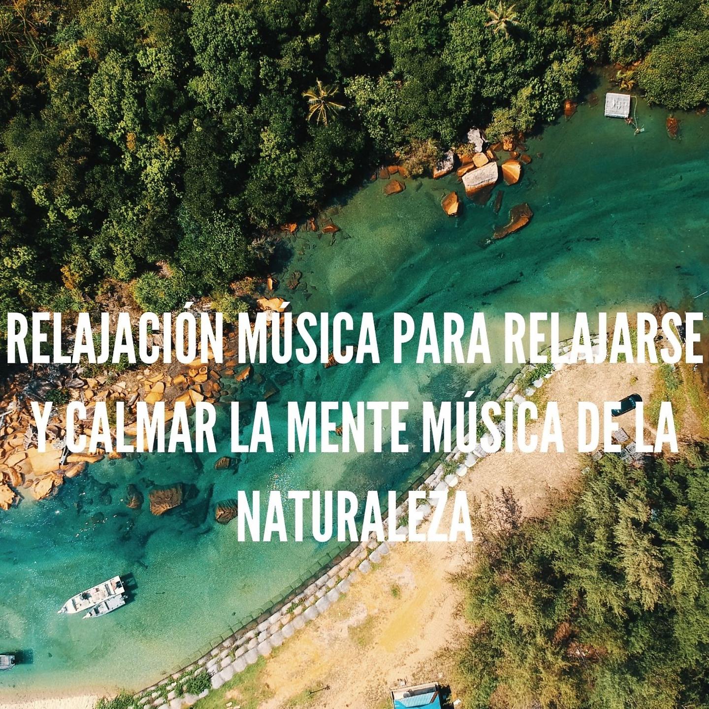 Постер альбома Relajación Música para Relajarse y Calmar la Mente Música de la Naturaleza