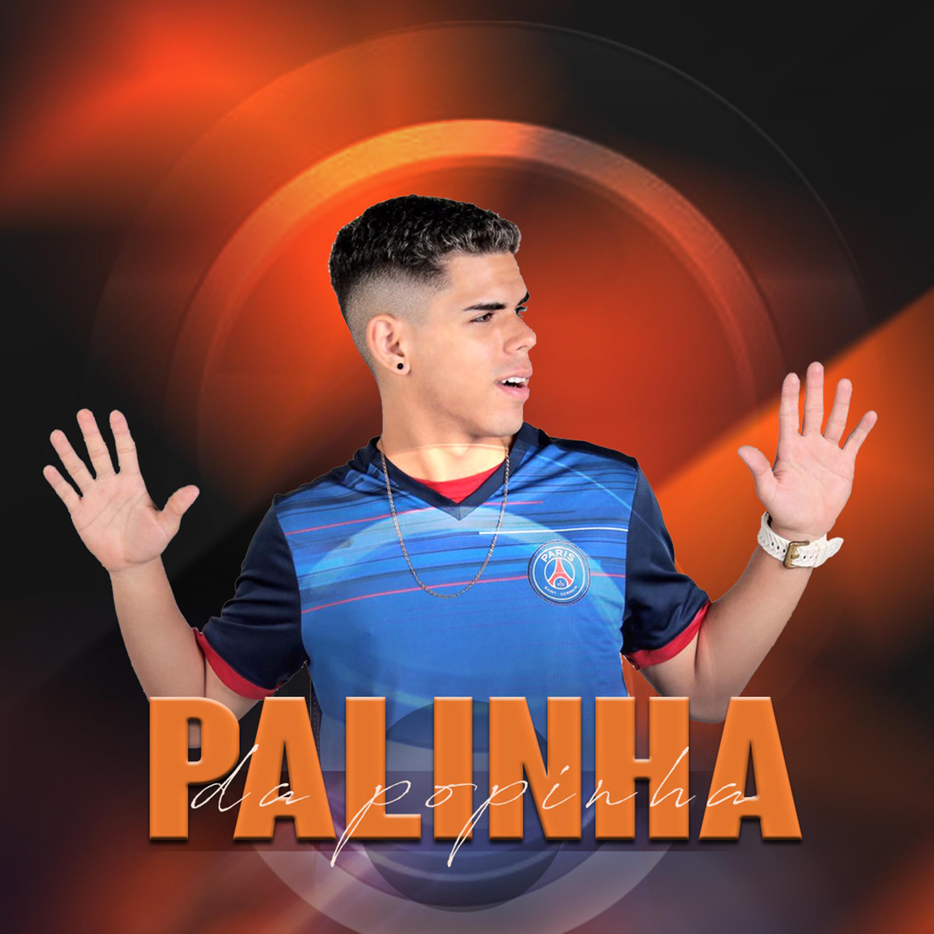 Постер альбома Palinha da Popinha