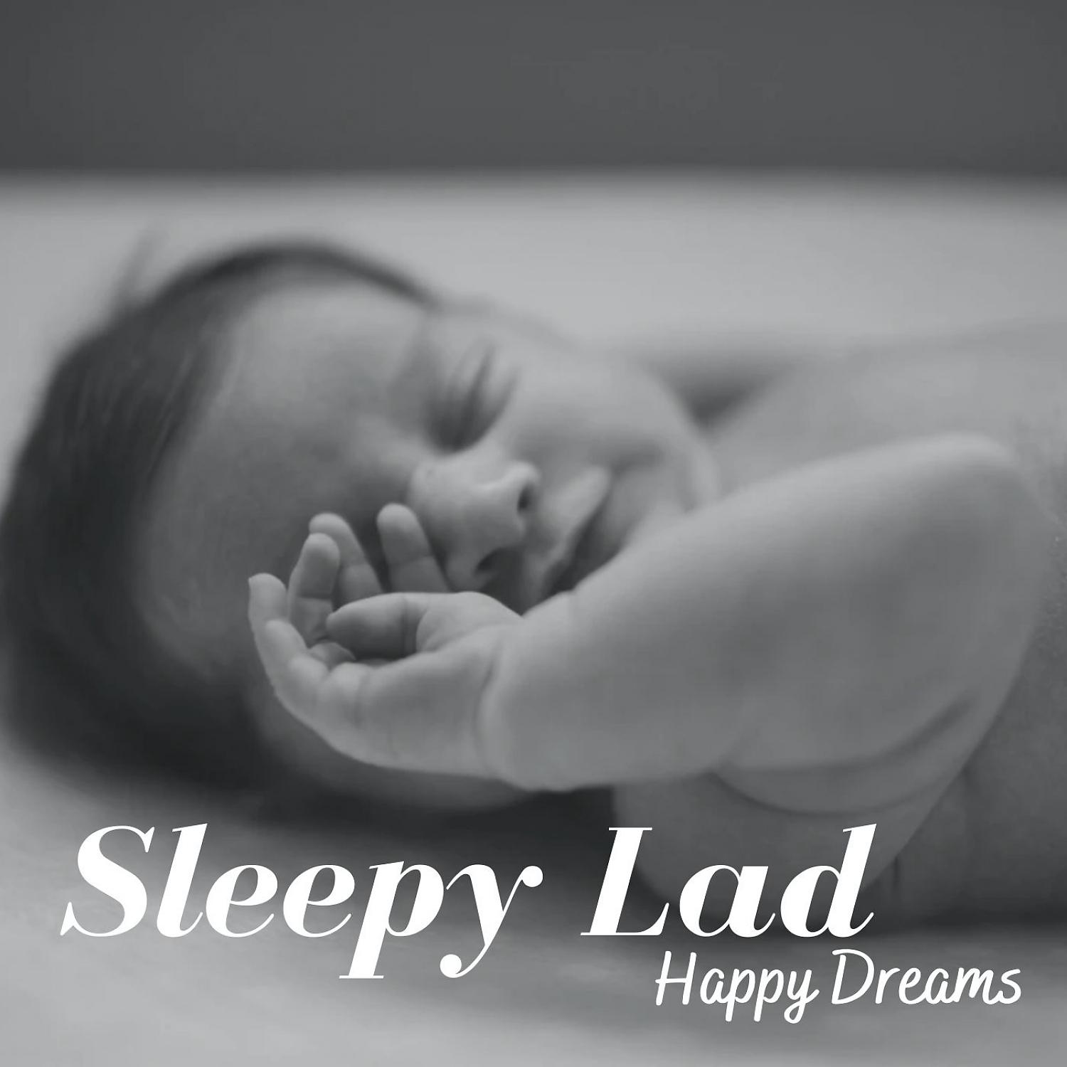 Постер альбома Sleepy Lad: Happy Dreams