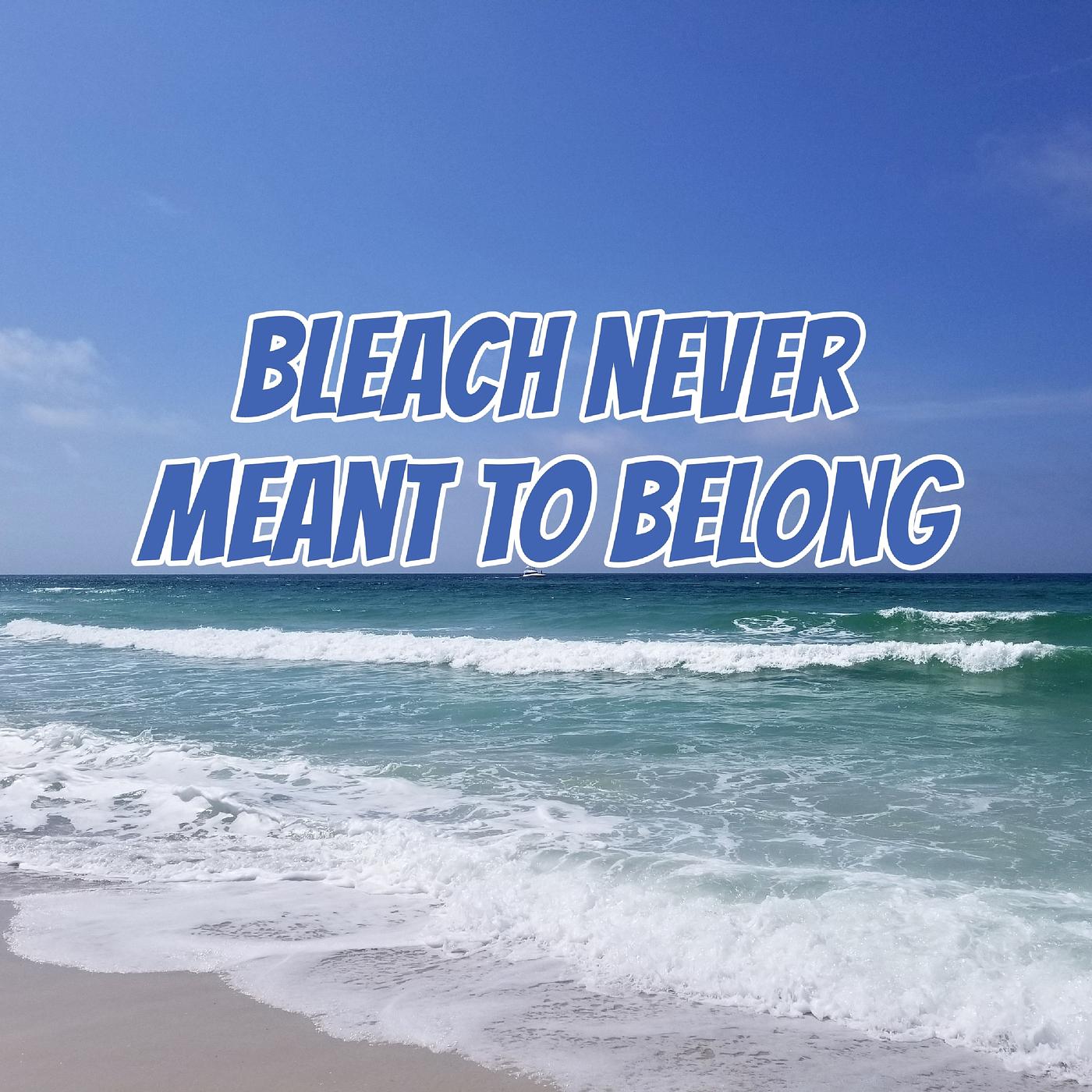 Постер альбома Bleach Never Meant to Belong