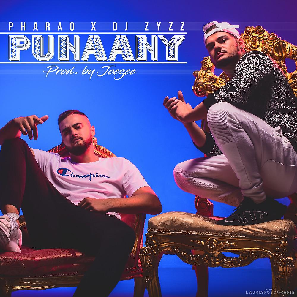 Постер альбома Punaany