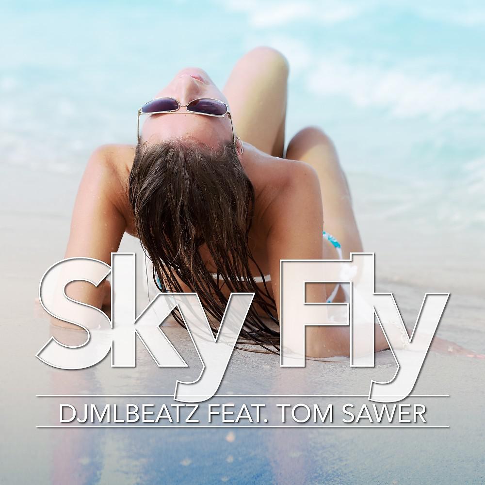 Постер альбома Sky Fly