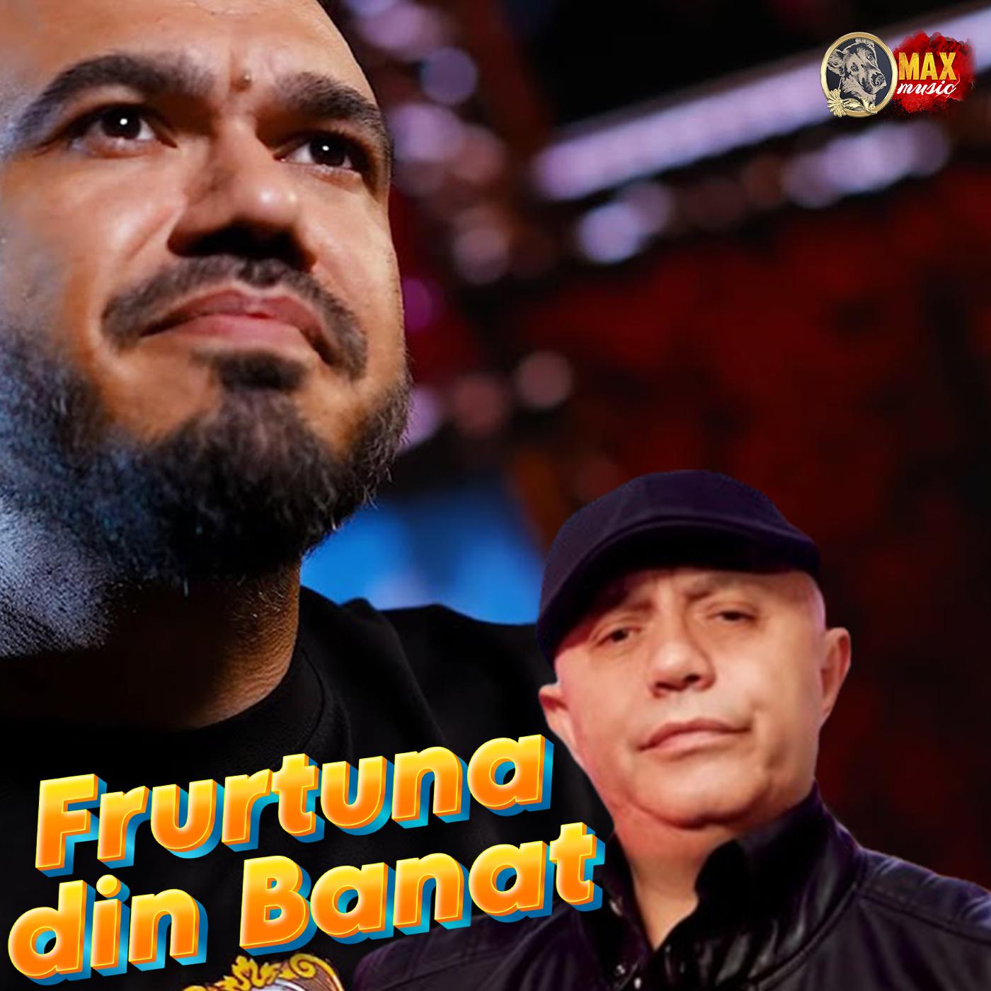 Постер альбома Frurtuna din Banat
