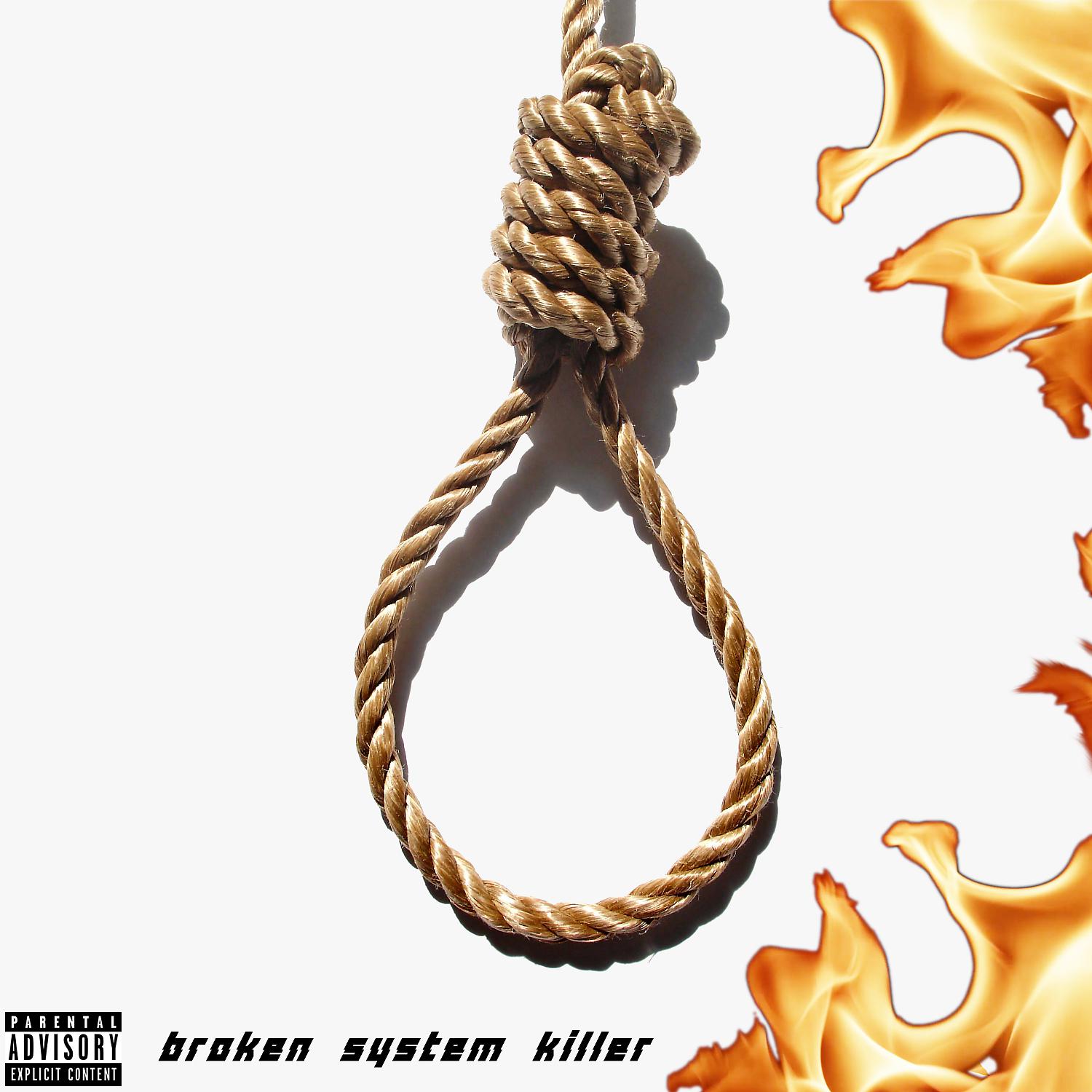 Постер альбома Broken System Killer