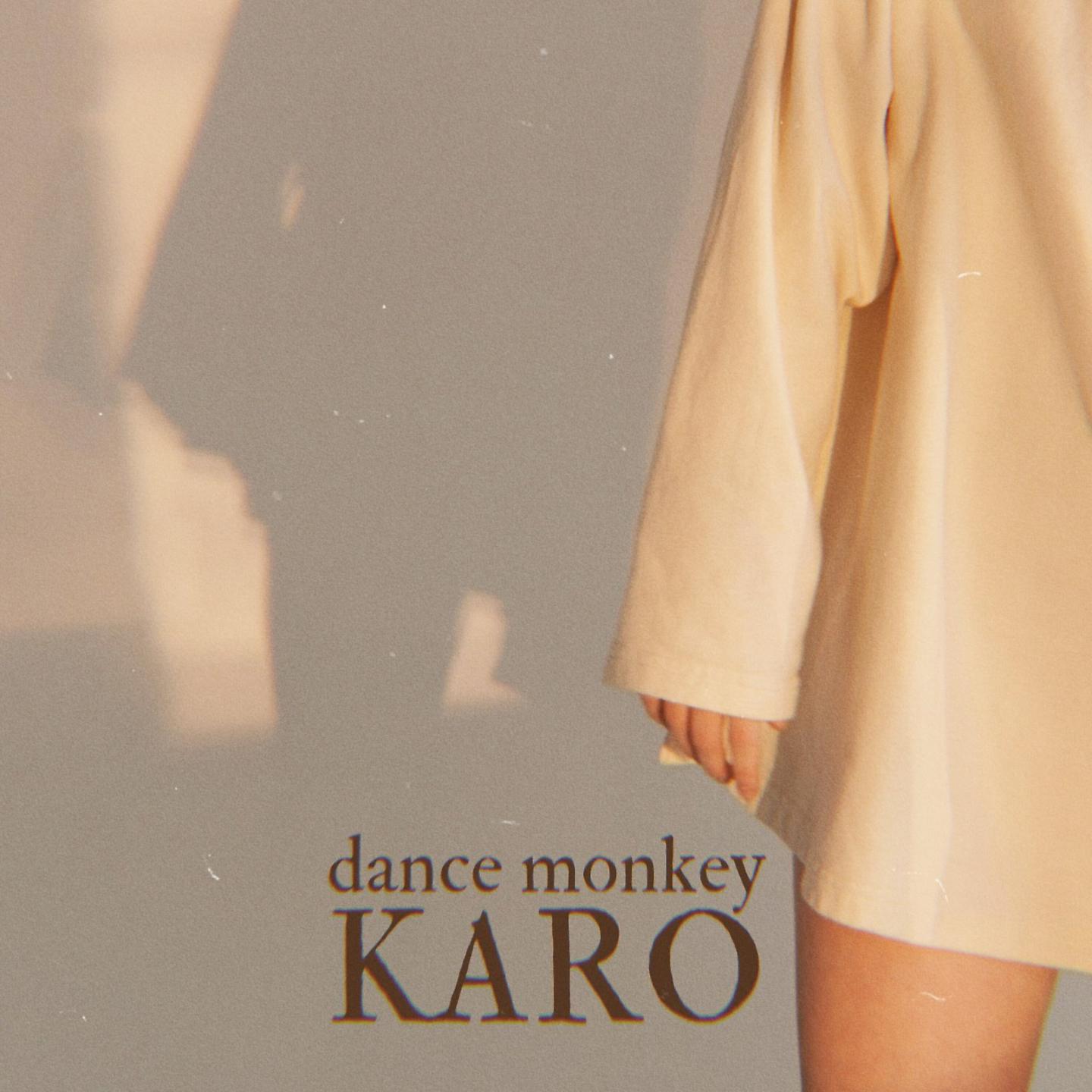 Постер альбома dance monkey