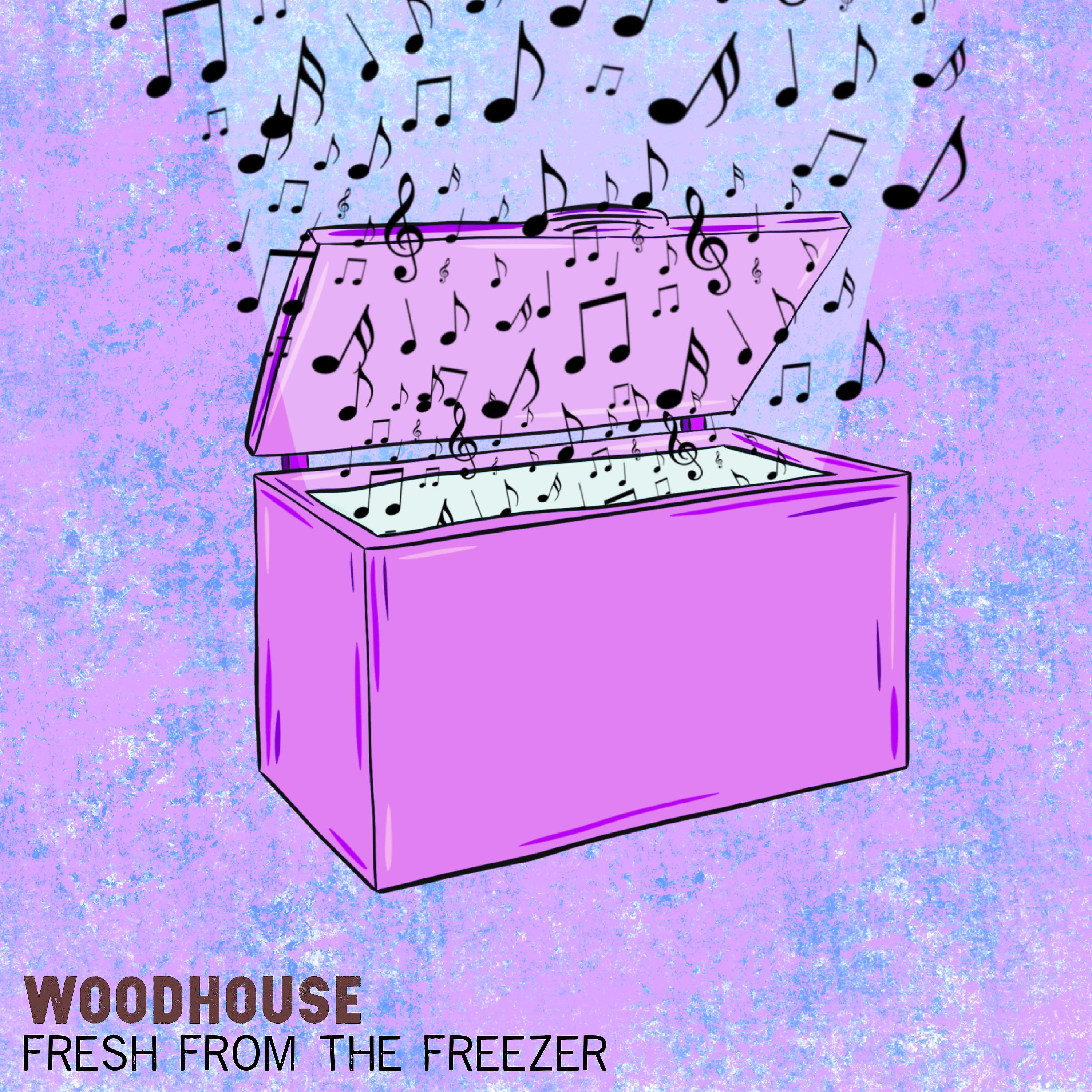 Постер альбома Fresh From The Freezer