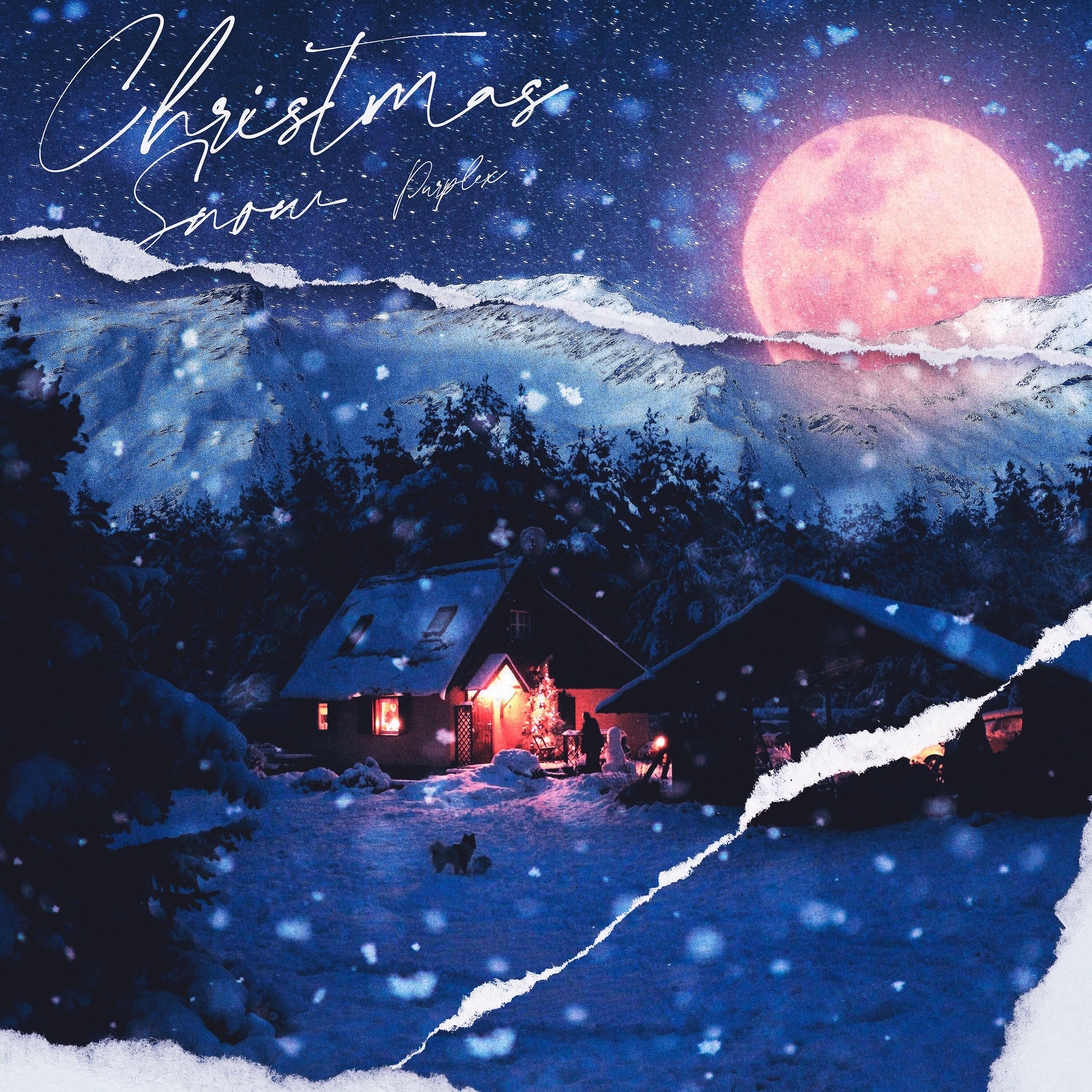 Постер альбома Christmas $now