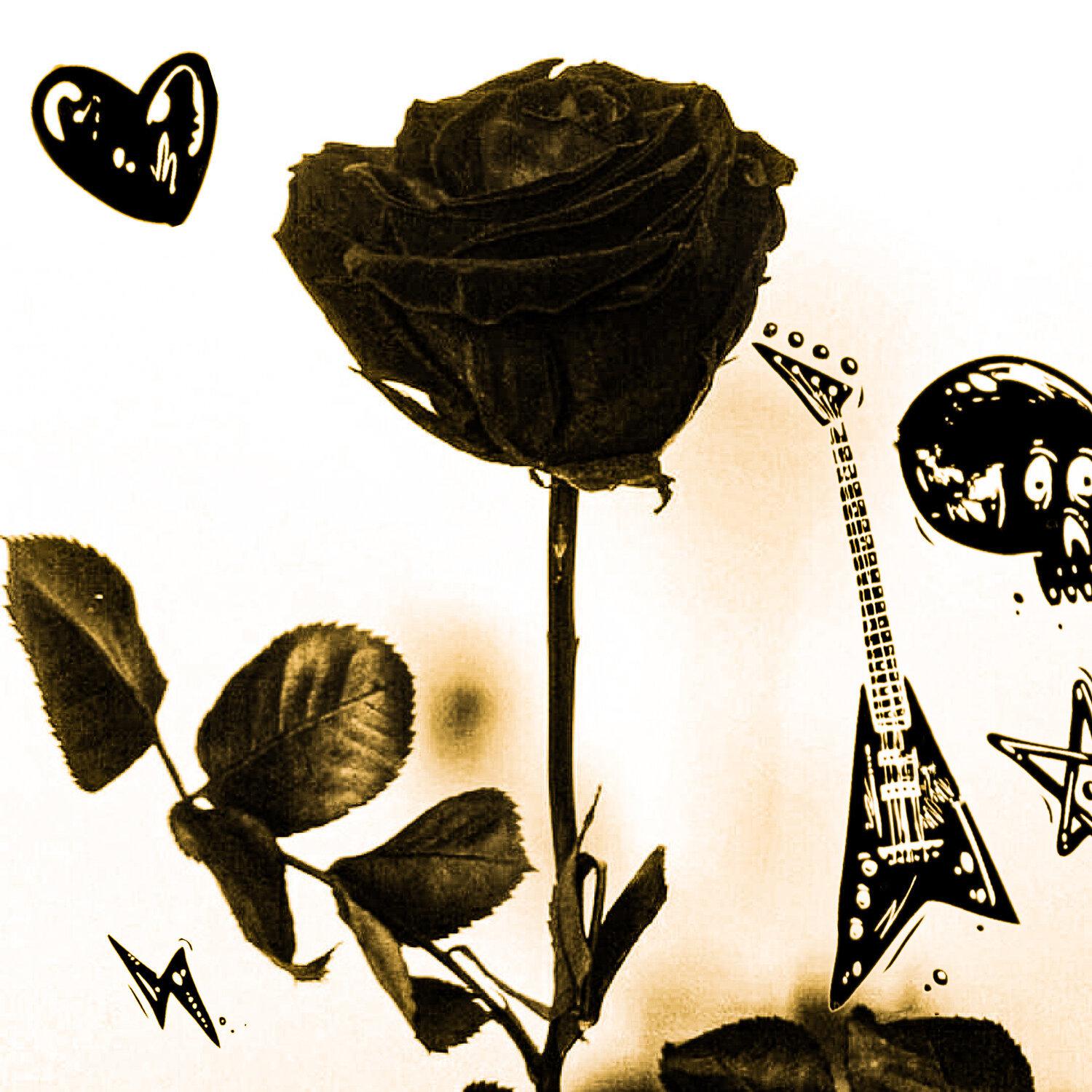 Постер альбома Black Flower