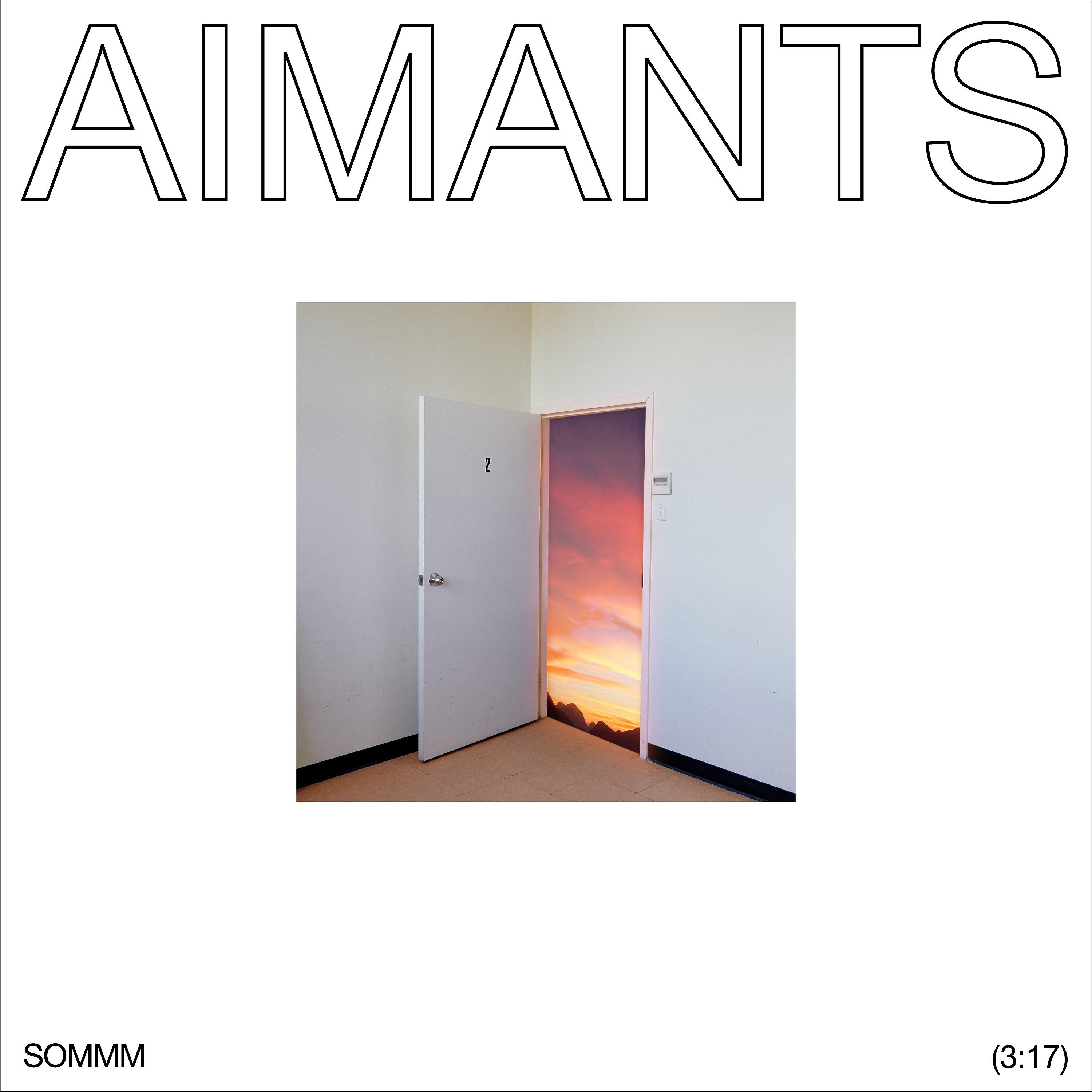 Постер альбома AIMANTS (feat. Ariane Moffatt & D R M S)