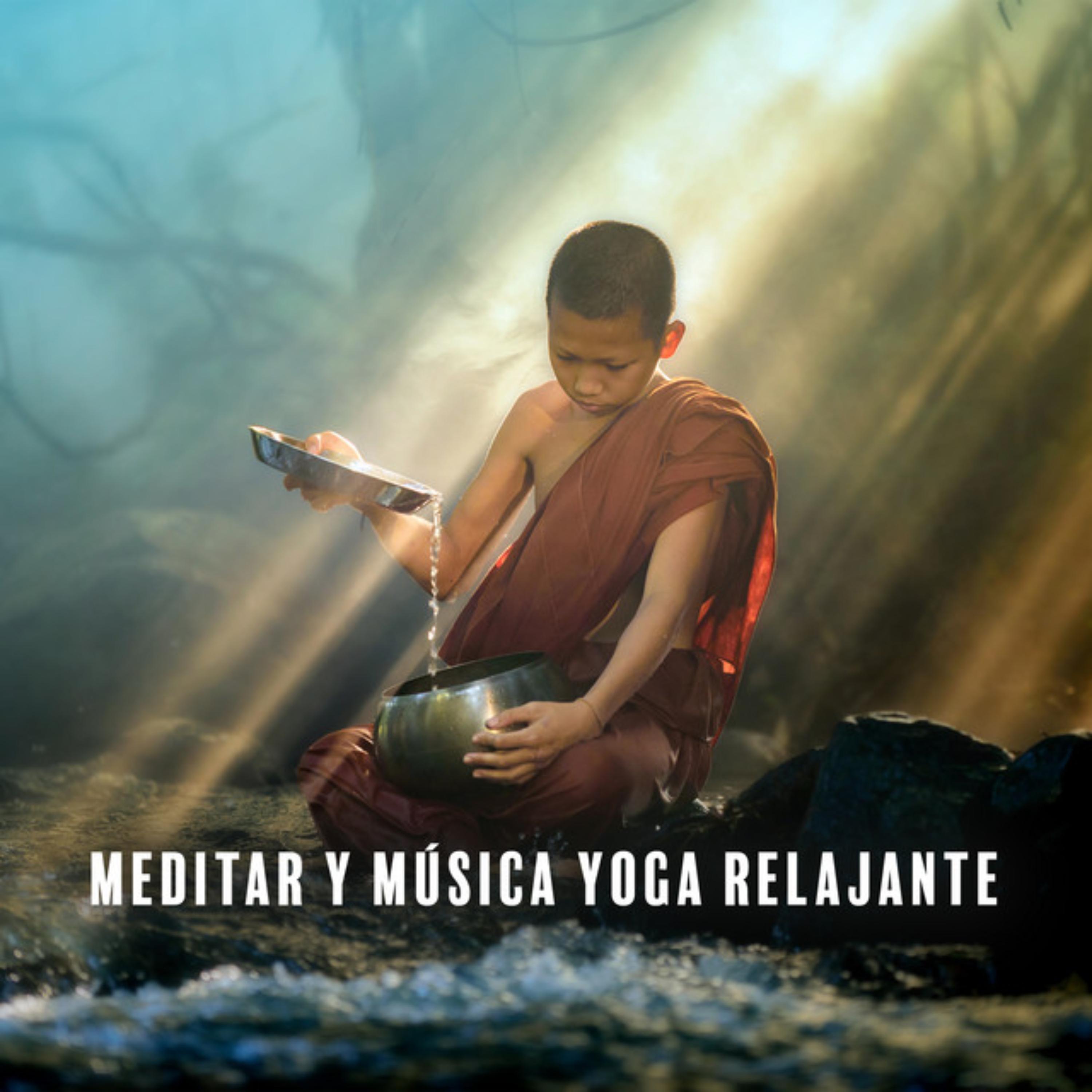 Постер альбома Meditar y Musica Yoga Relajante