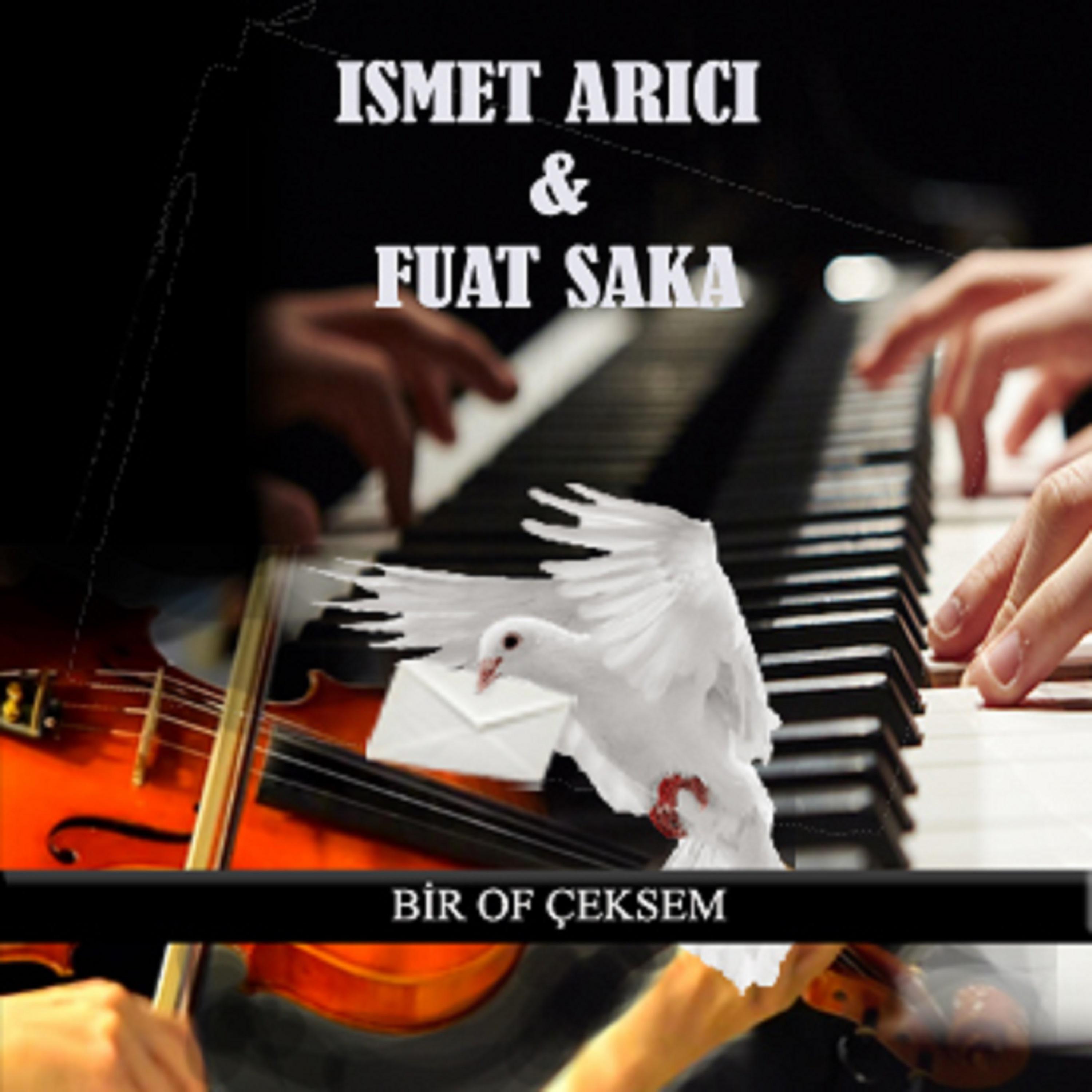 Постер альбома Bir Of Çeksem