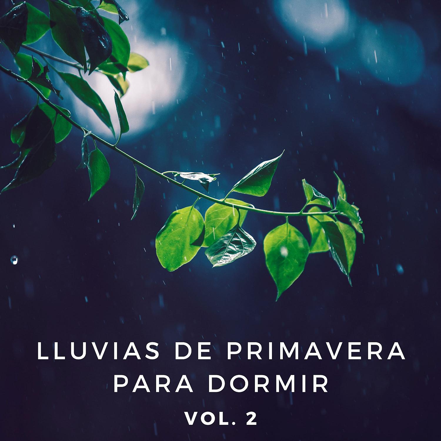 Постер альбома Lluvias De Primavera Para Dormir Vol. 2