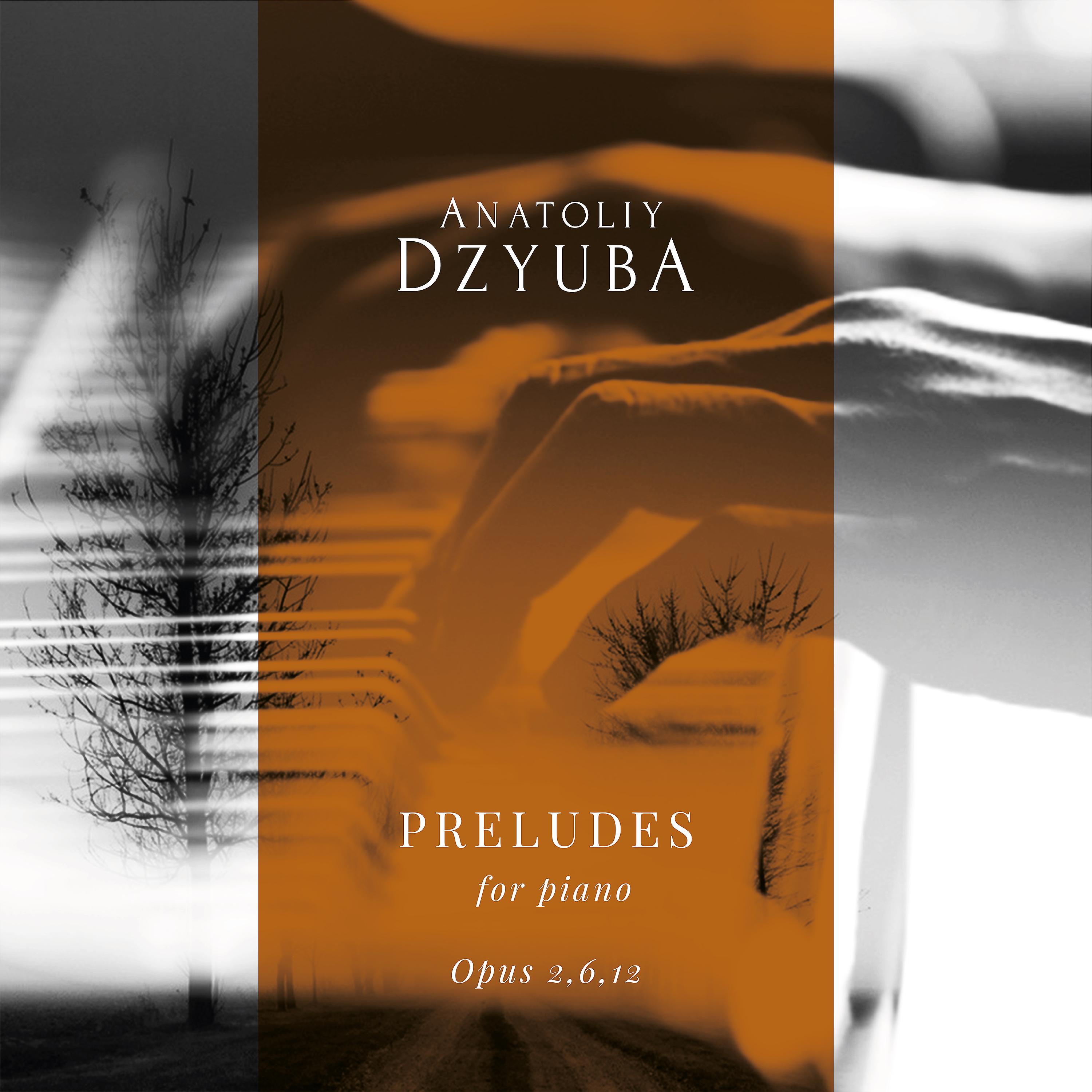 Постер альбома Preludes for Piano. Opus 2, 6, 12