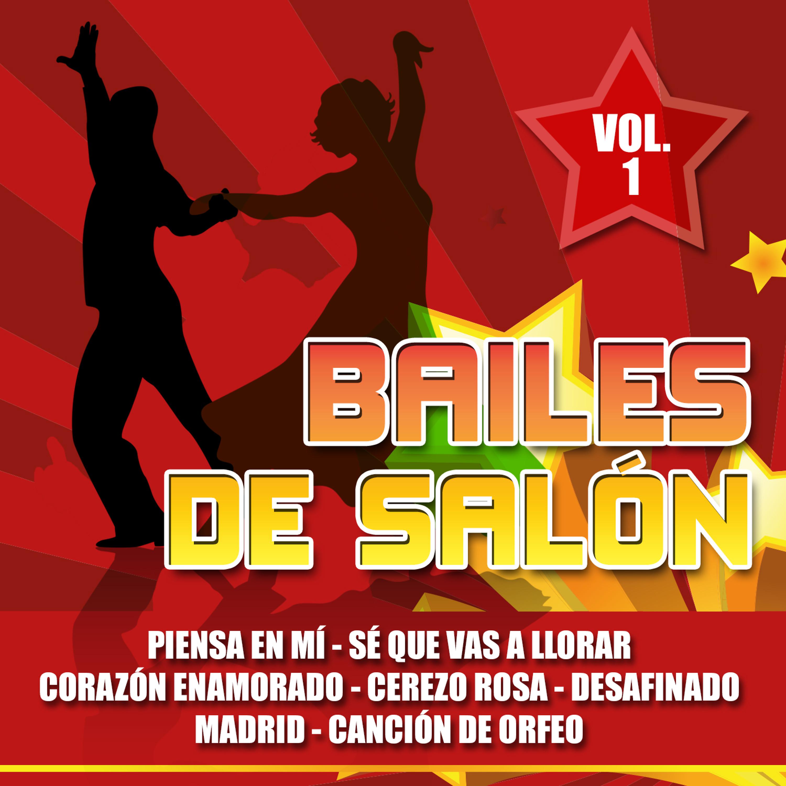 Постер альбома Bailes de Salón Vol. 1