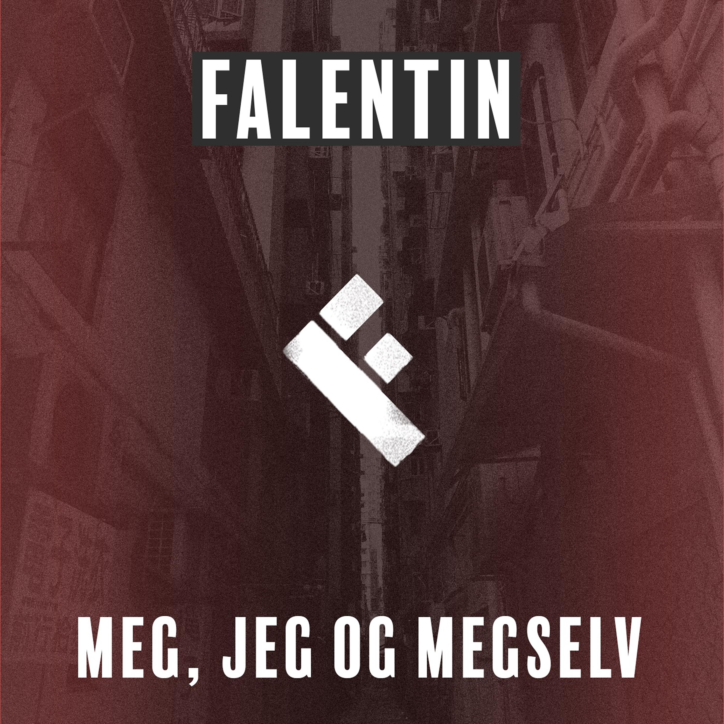 Постер альбома Meg Jeg Og Megselv