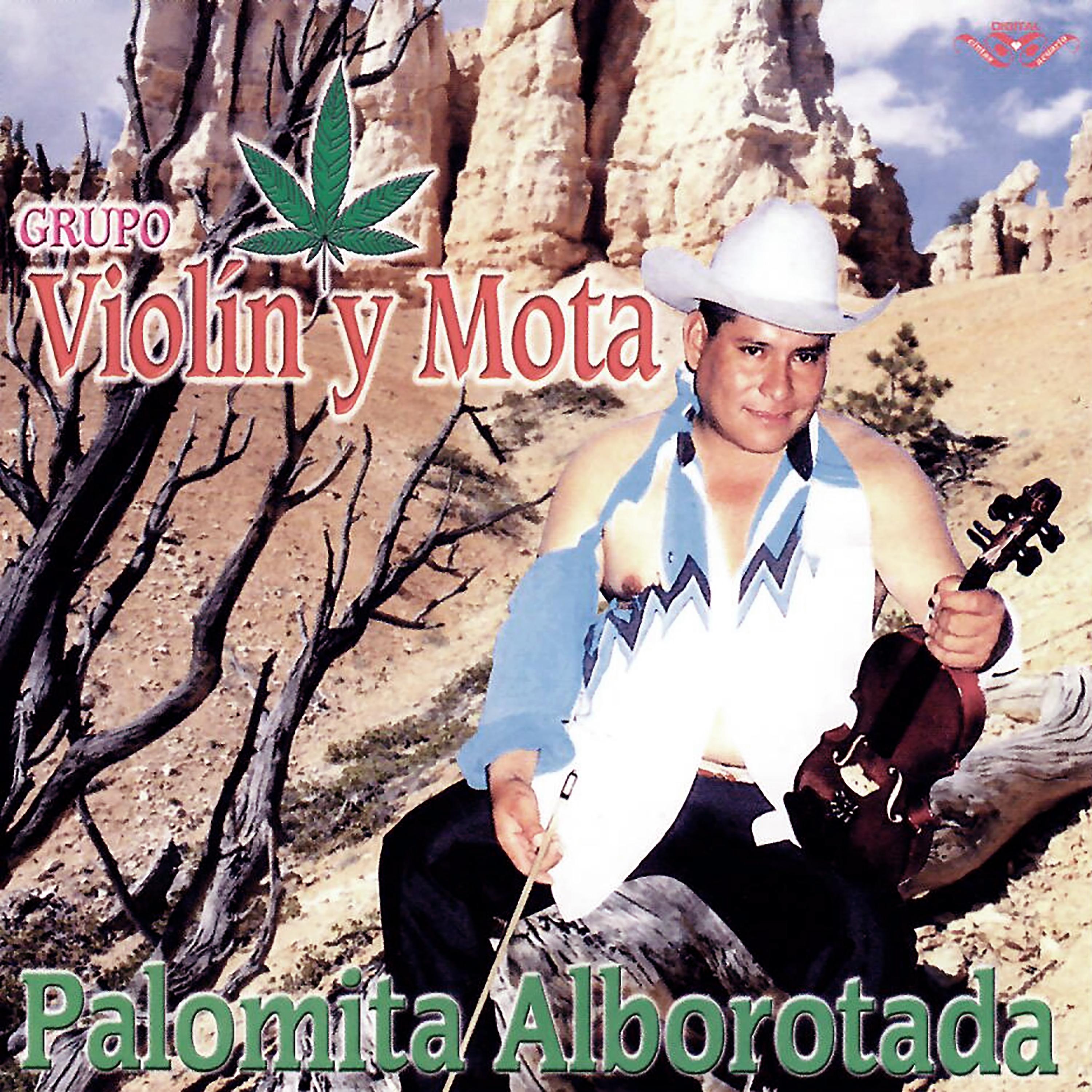 Постер альбома Palomita Alborotada