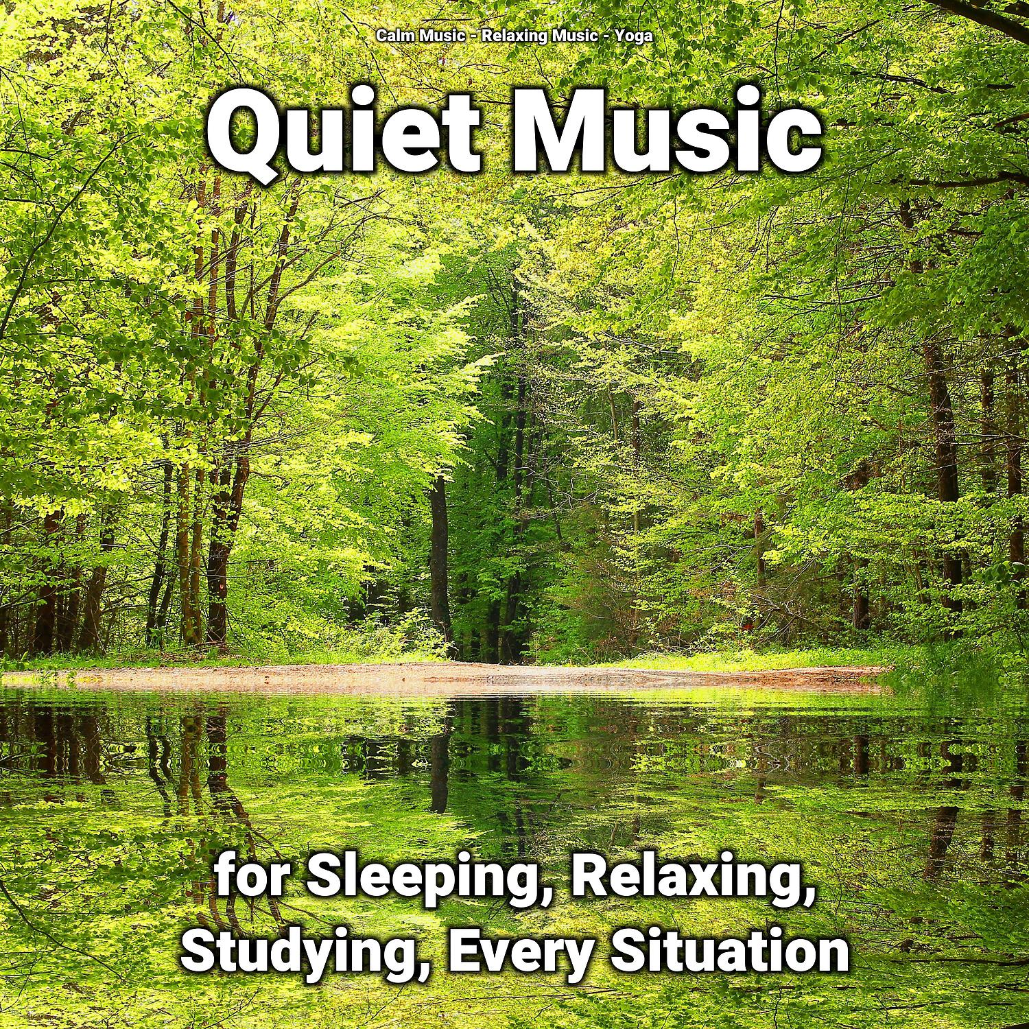 Постер альбома Quiet Music for Sleeping, Relaxing, Studying, Every Situation