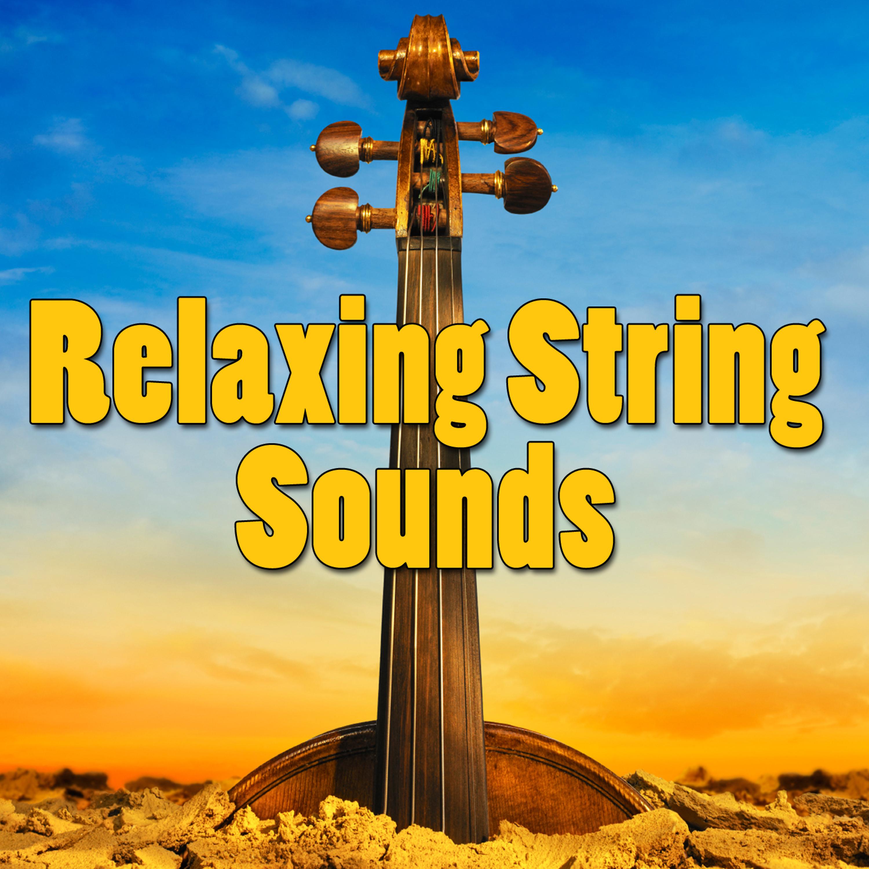 Постер альбома Relaxing String Sounds