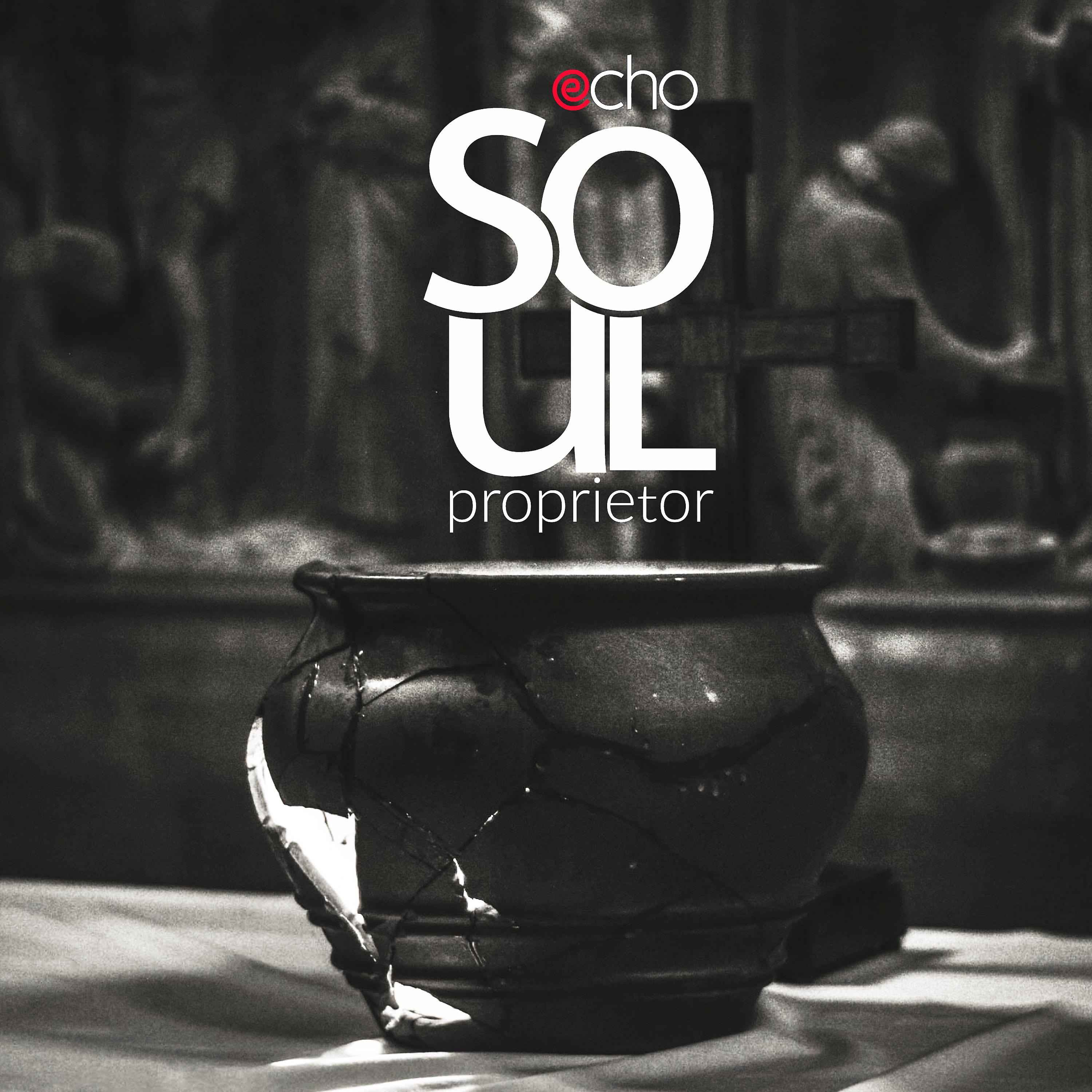 Постер альбома Soul Proprietor