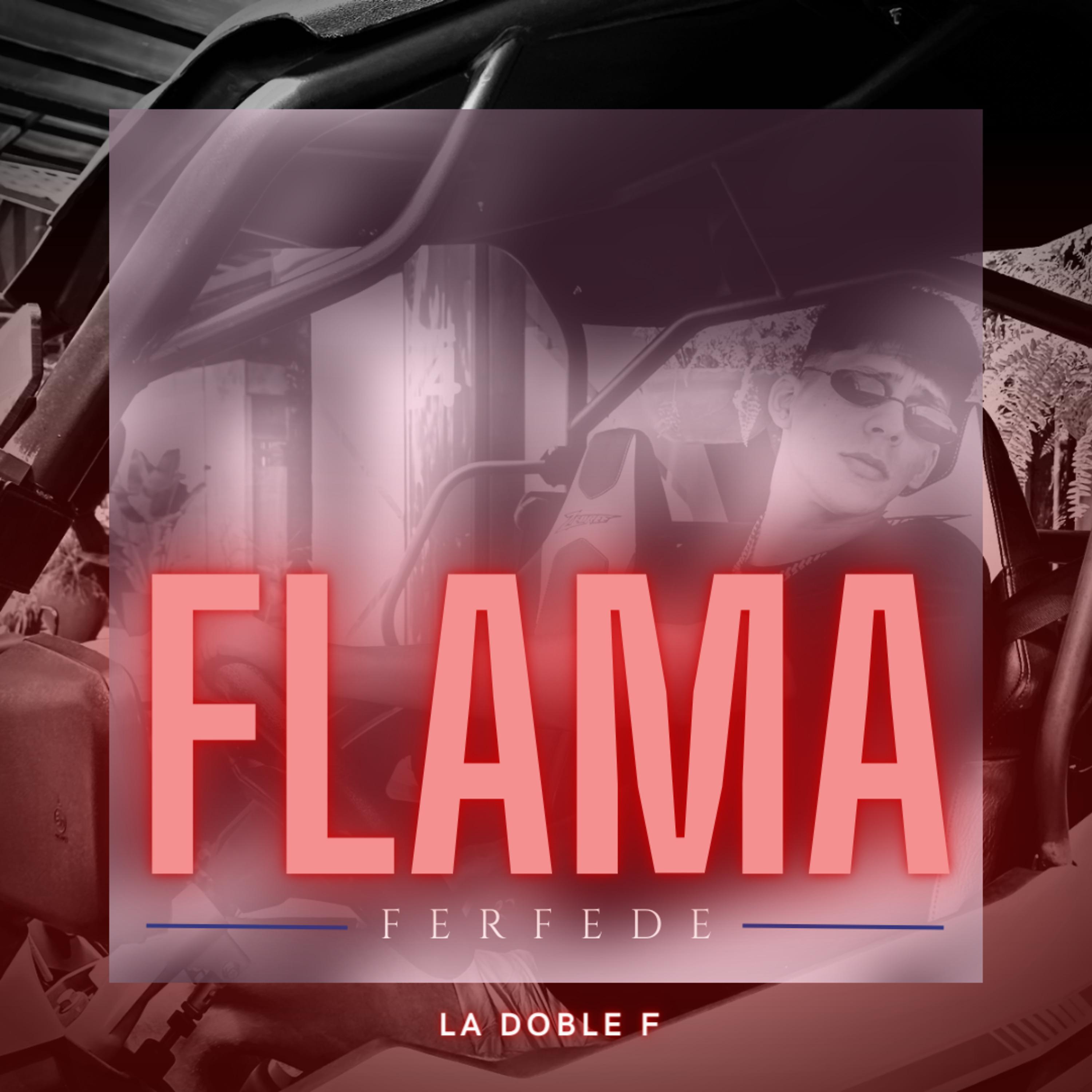 Постер альбома Flama